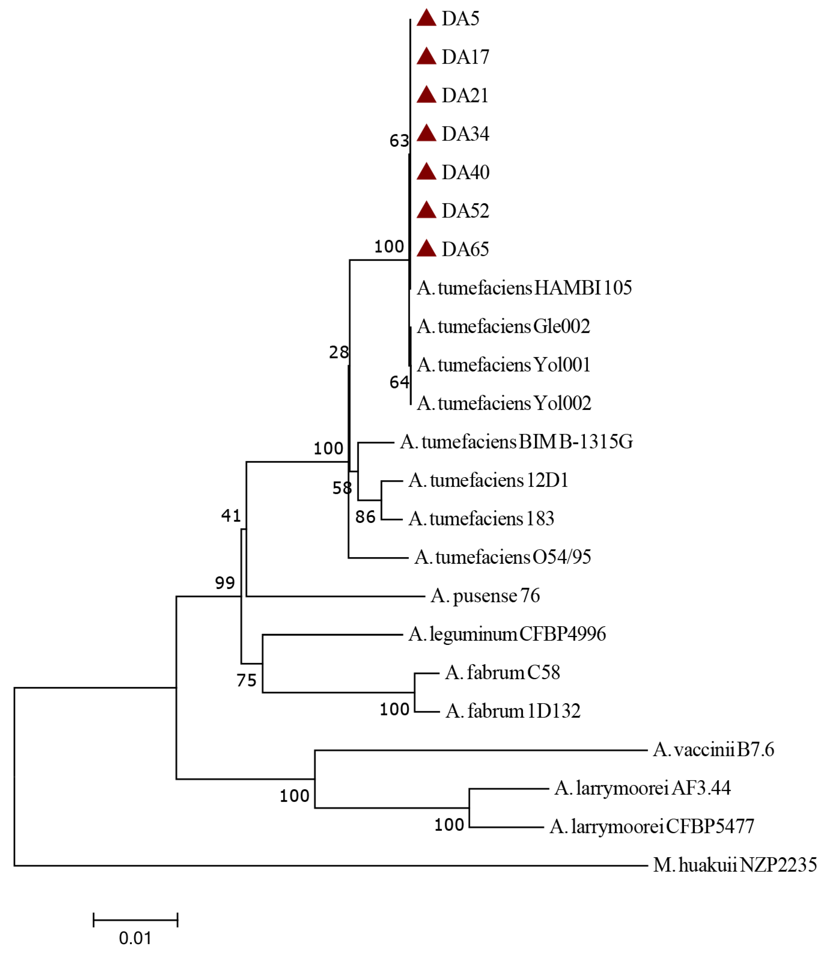 Agronomy 14 00851 g003