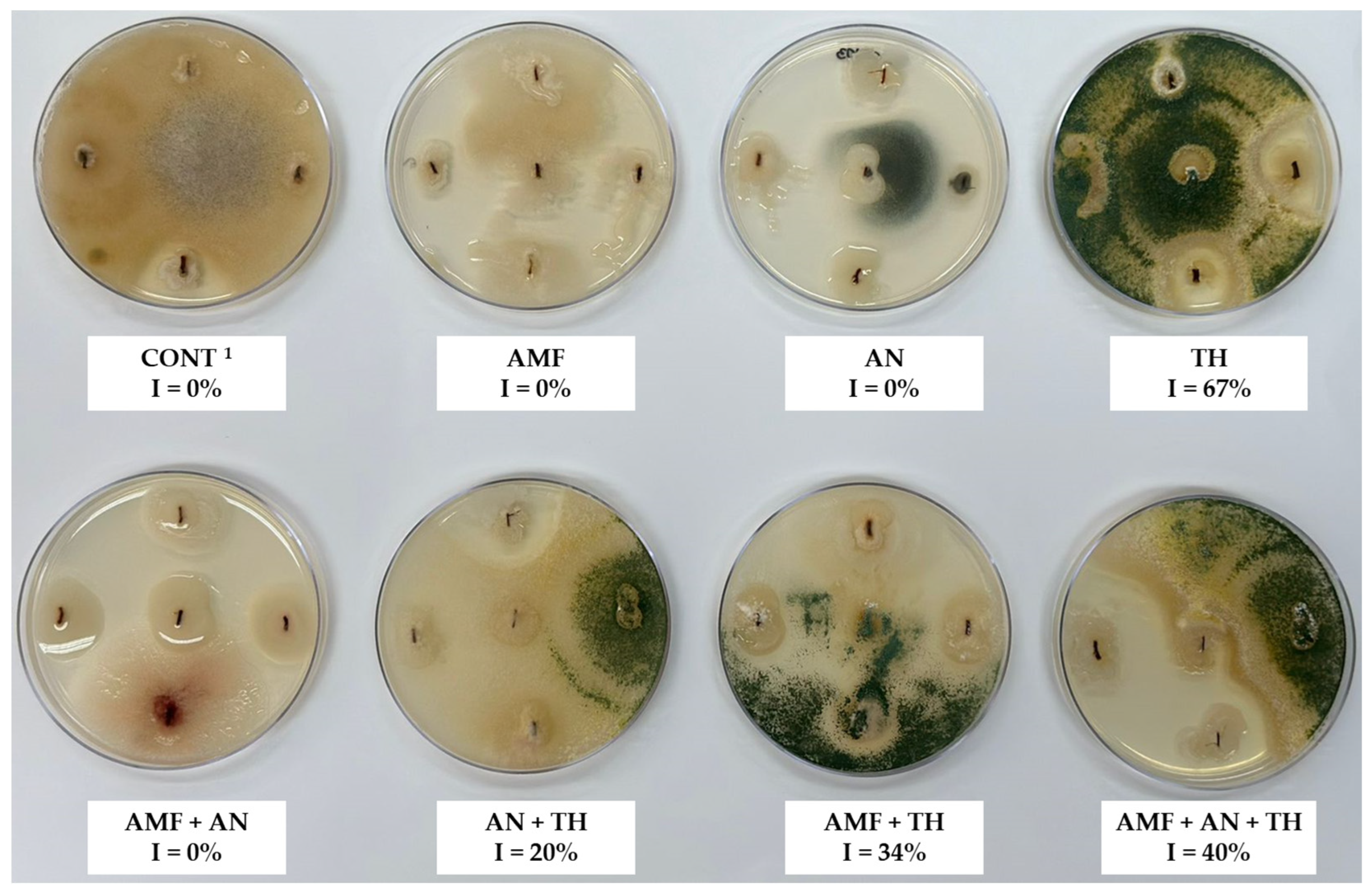 Agronomy 14 00860 g005