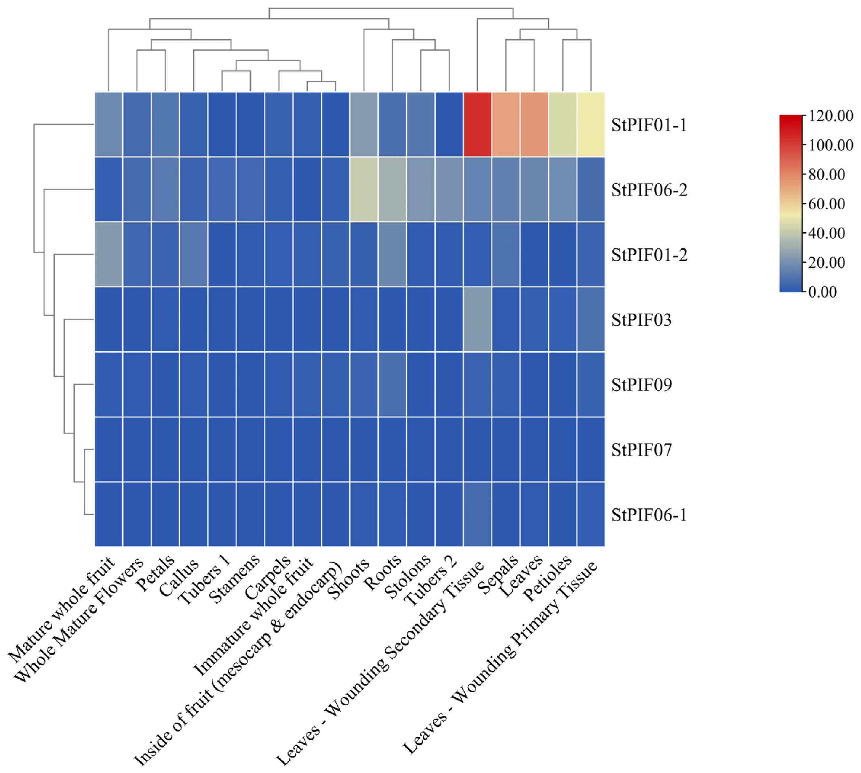 Agronomy 14 00873 g008