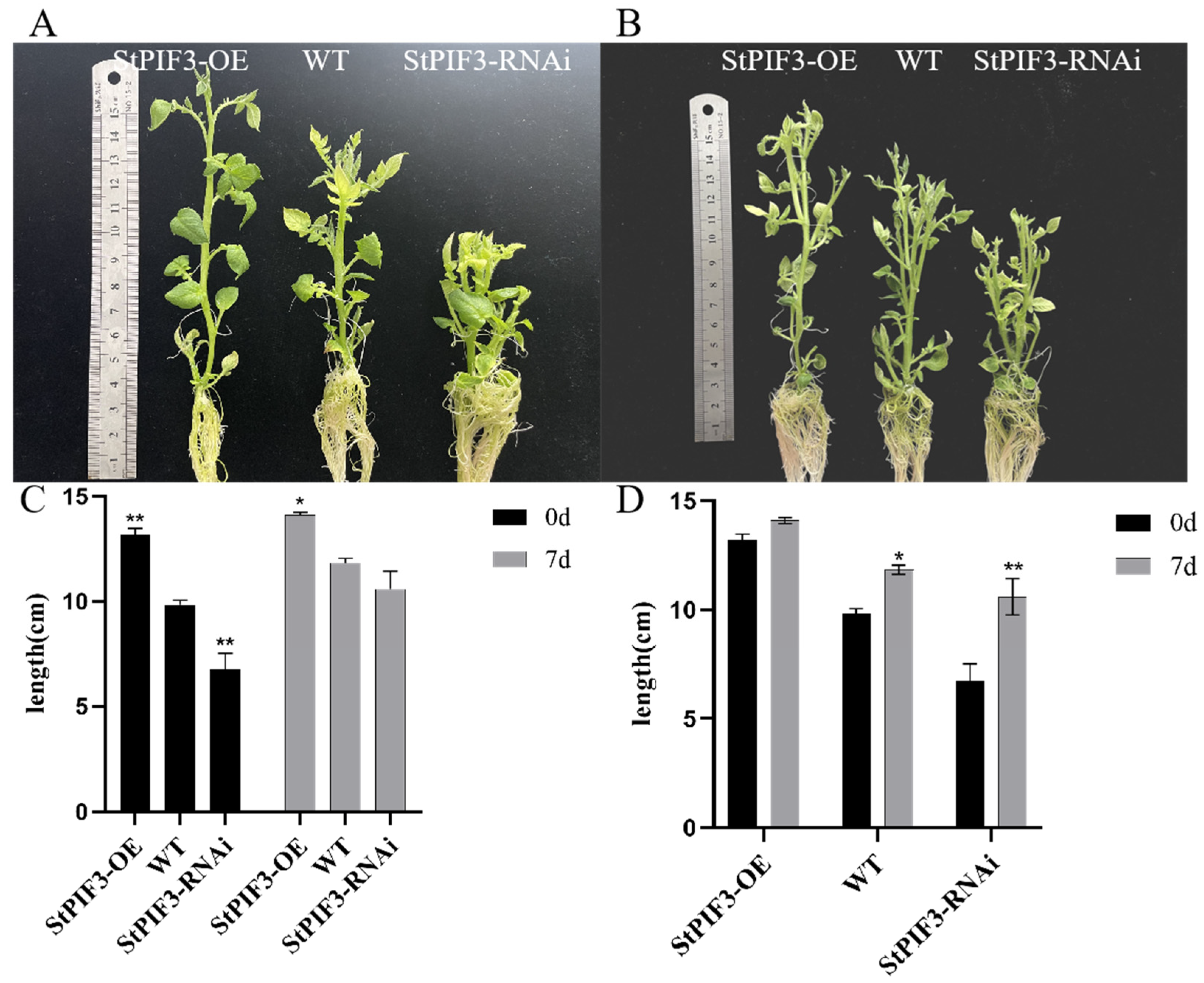 Agronomy 14 00873 g012
