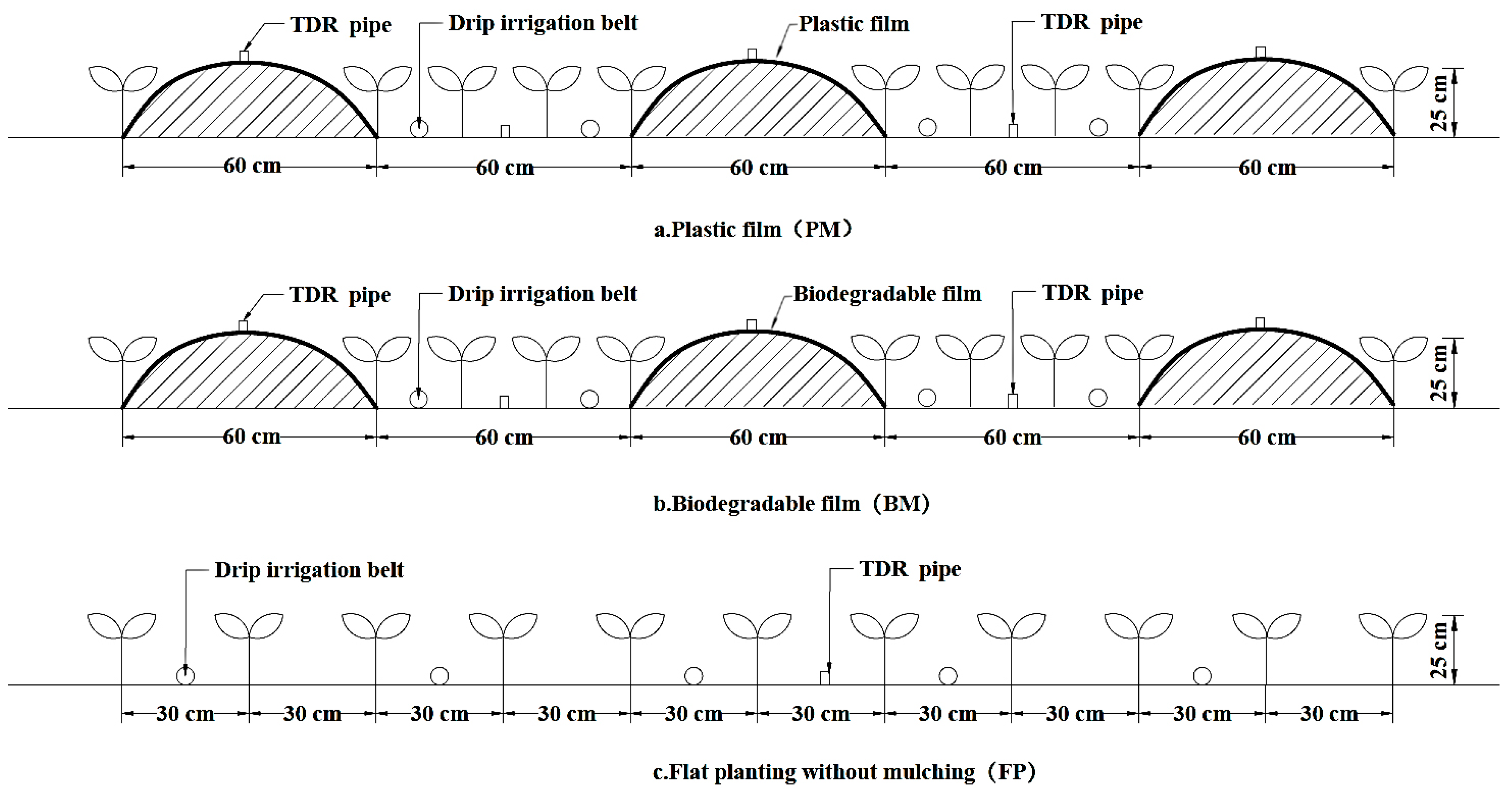 Agronomy 14 00874 g002 Agronomy 14 00874 g002