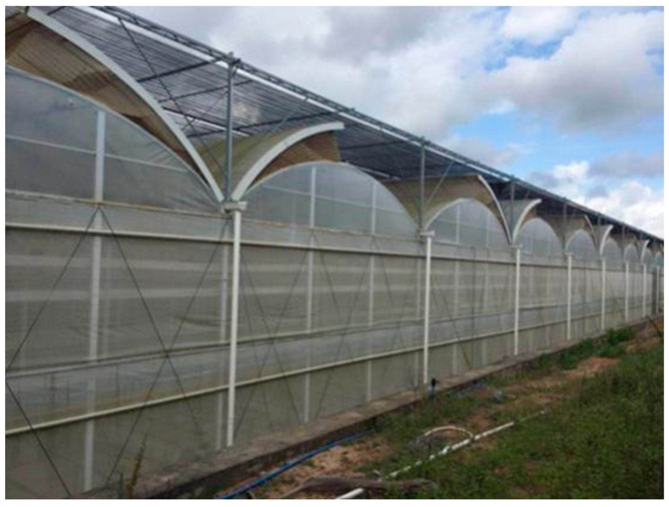 Agronomy 14 00876 g001