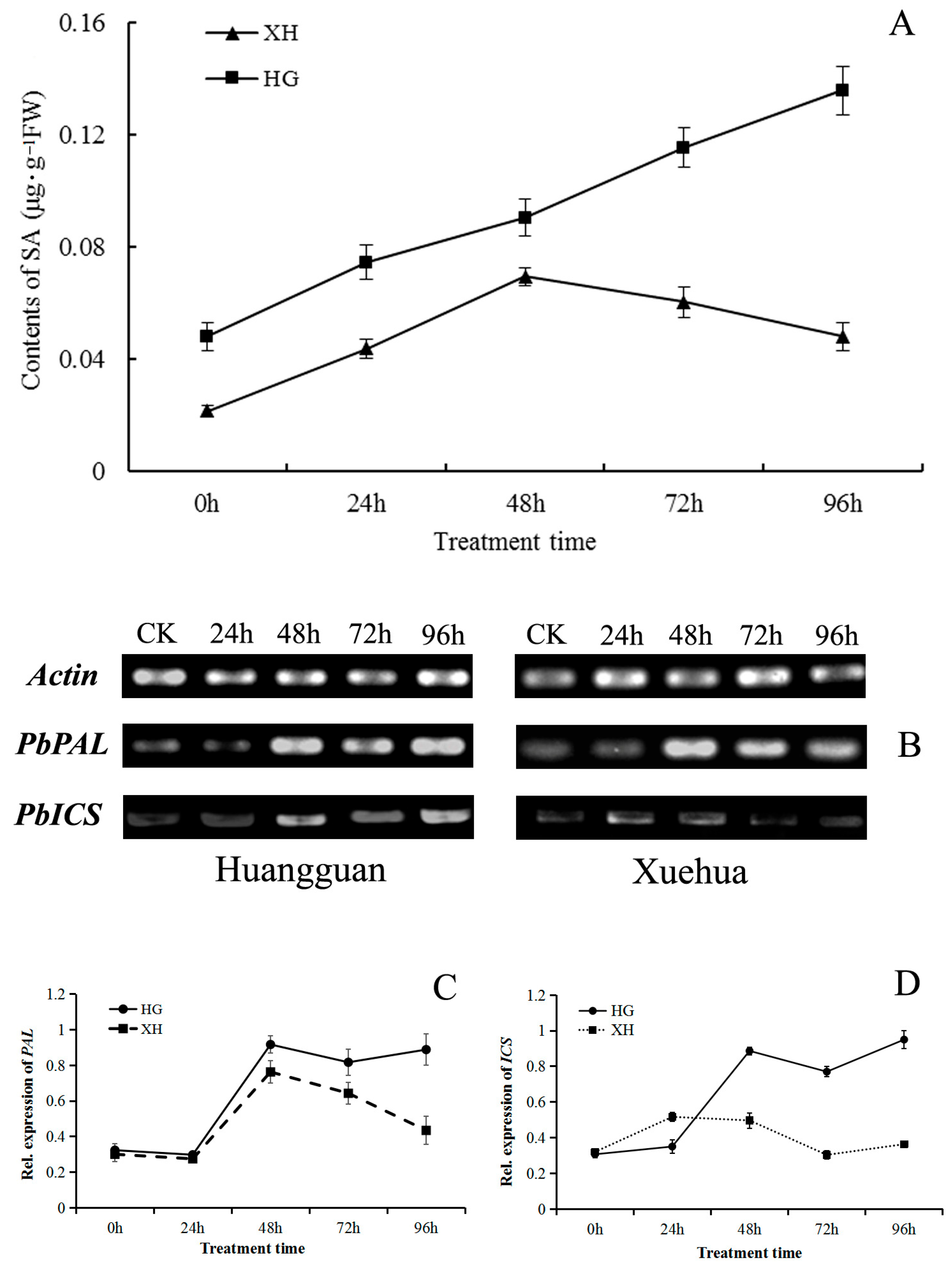 Agronomy 14 00877 g008