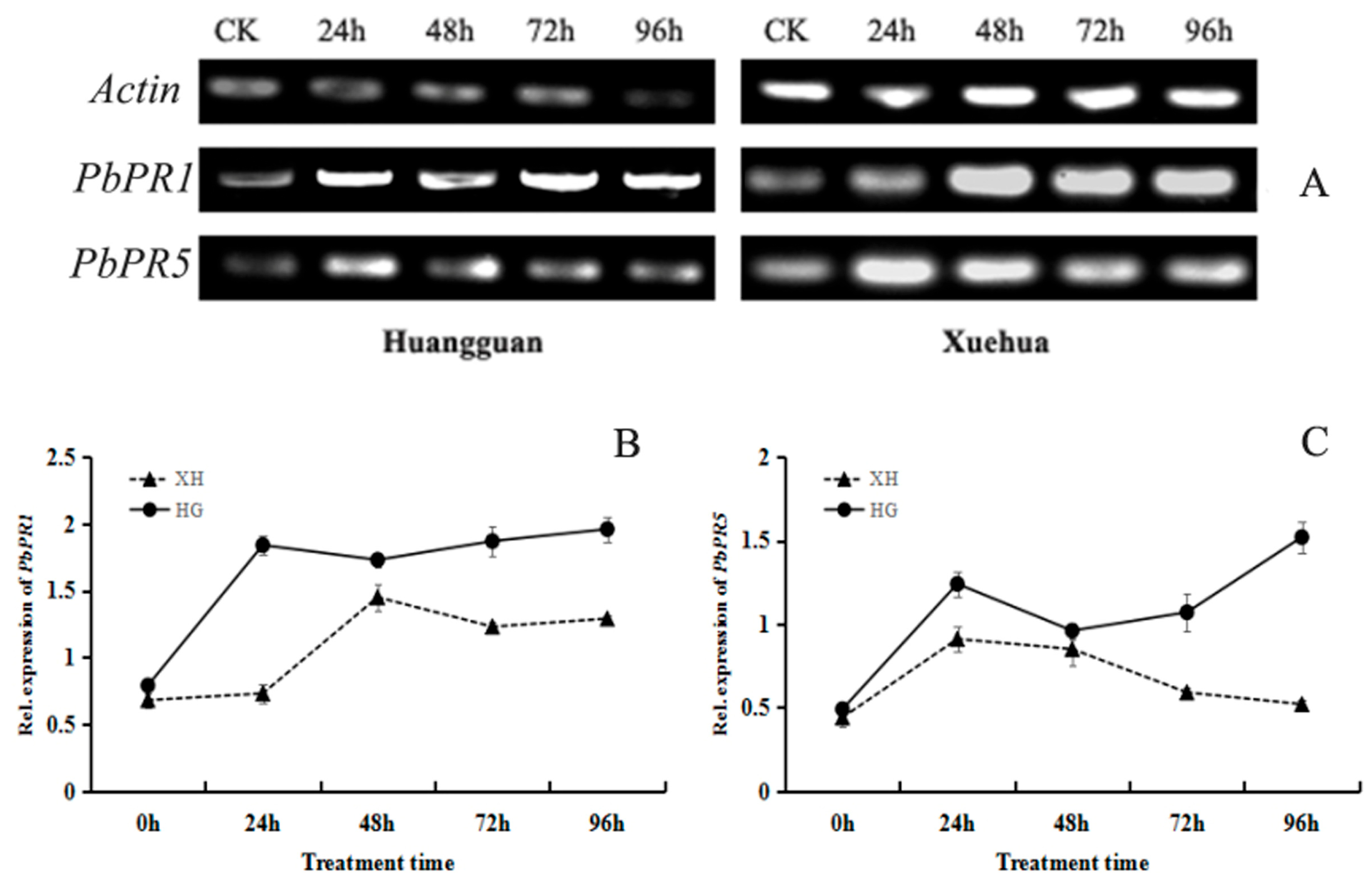 Agronomy 14 00877 g009