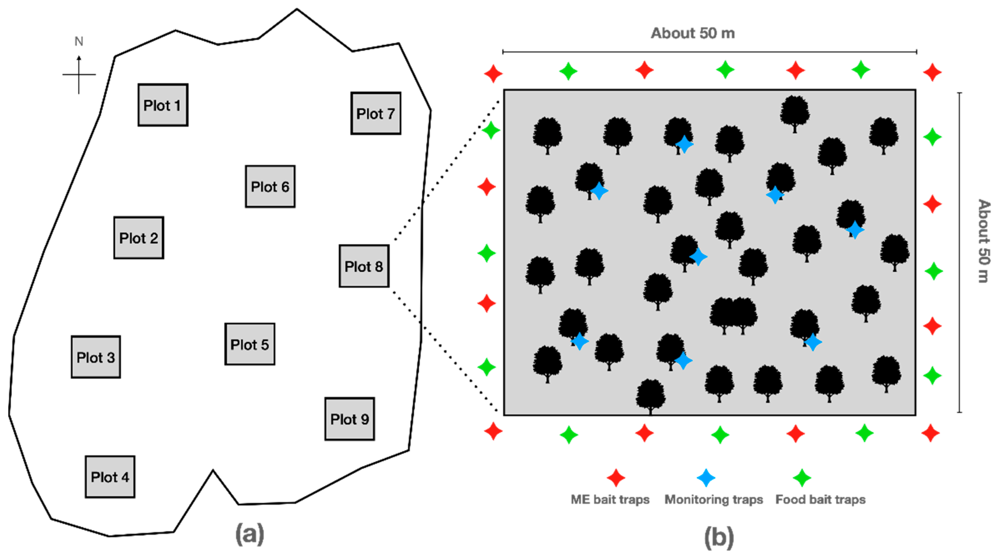 Agronomy 14 00890 g001