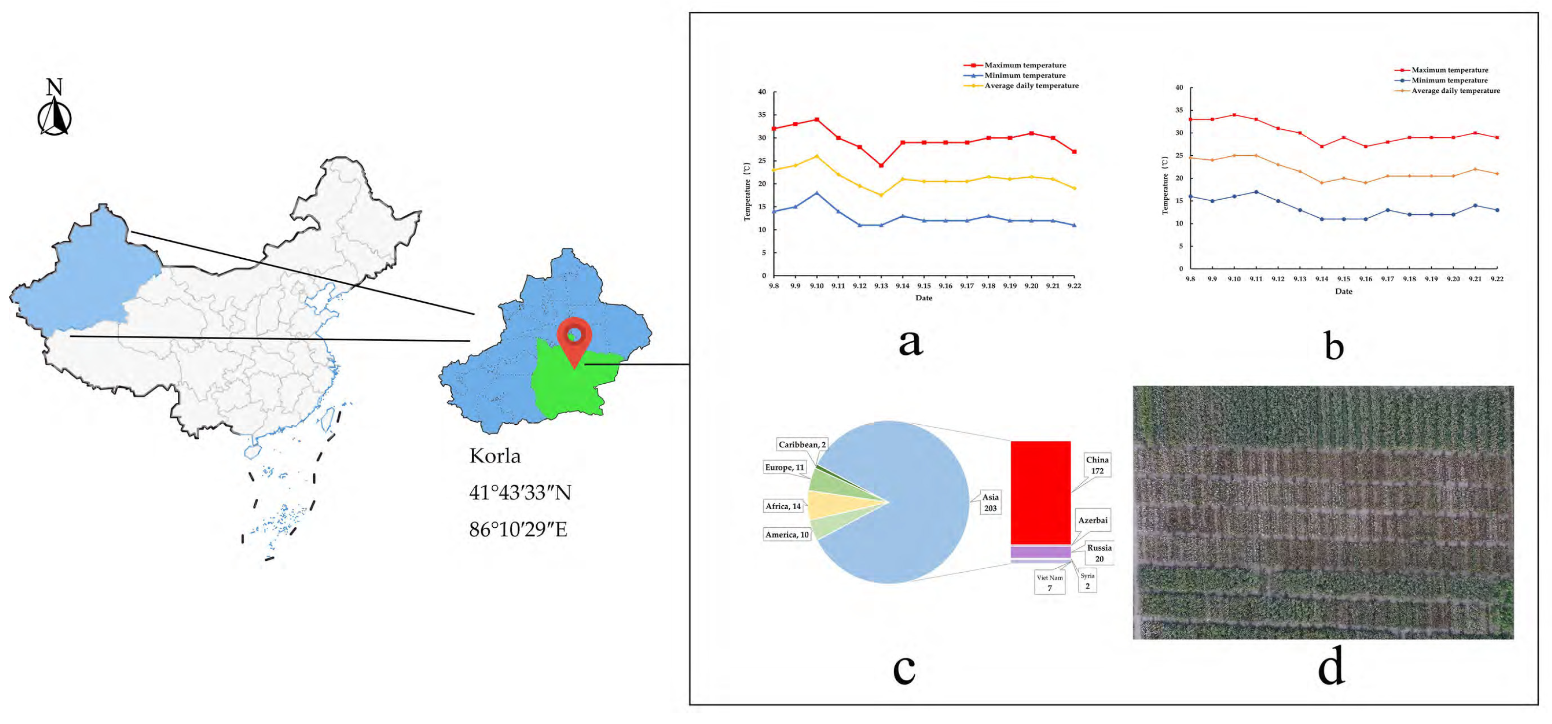 Agronomy 14 00891 g001
