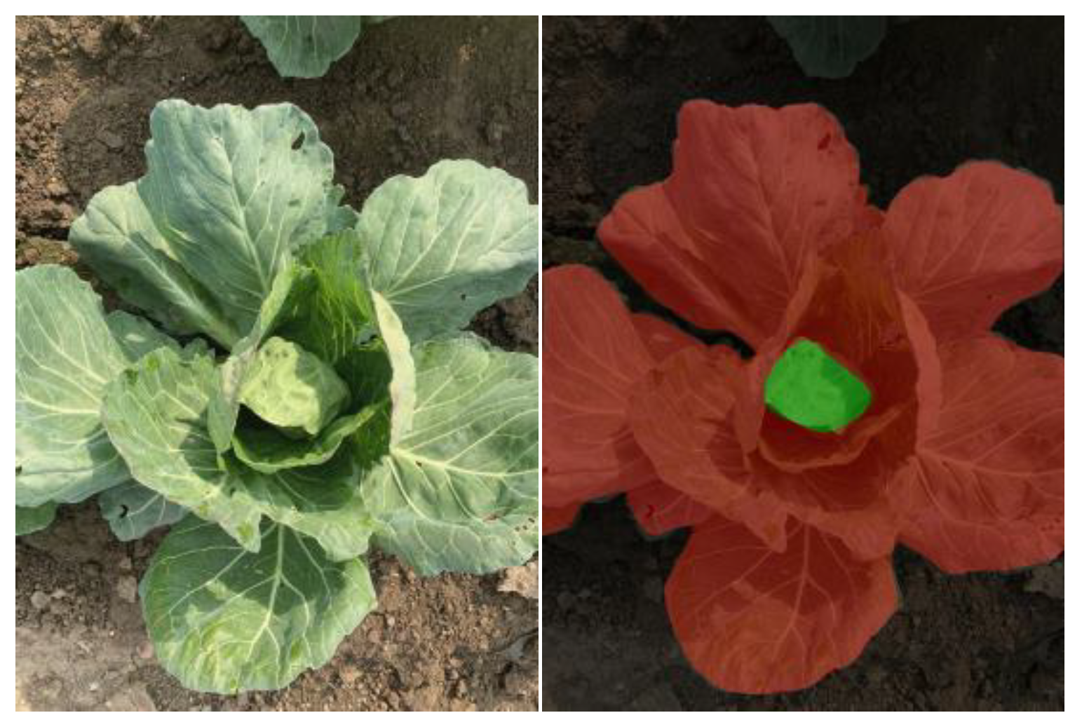 Agronomy 14 00894 g001