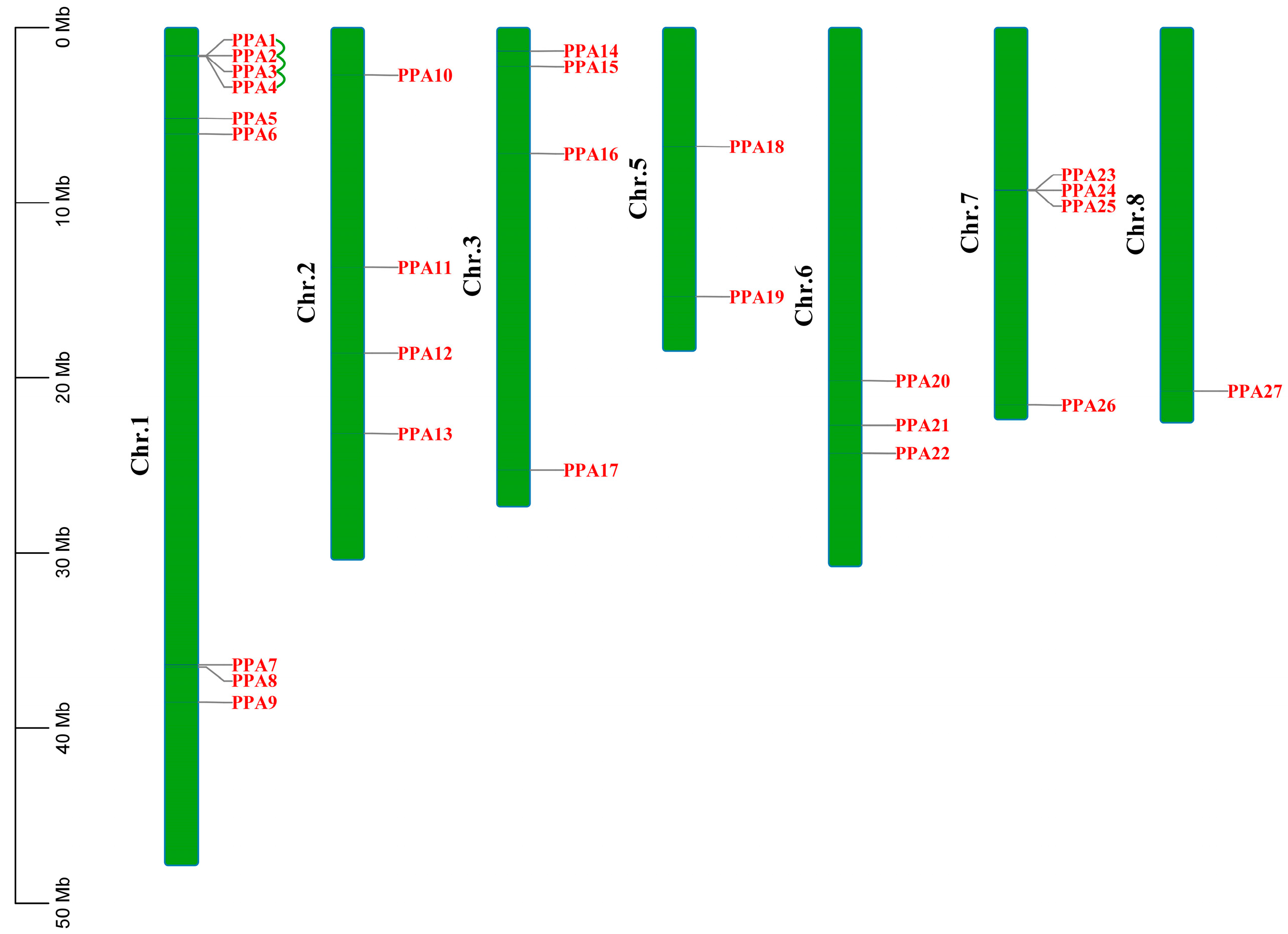 Agronomy 14 00908 g001 Agronomy 14 00908 g001