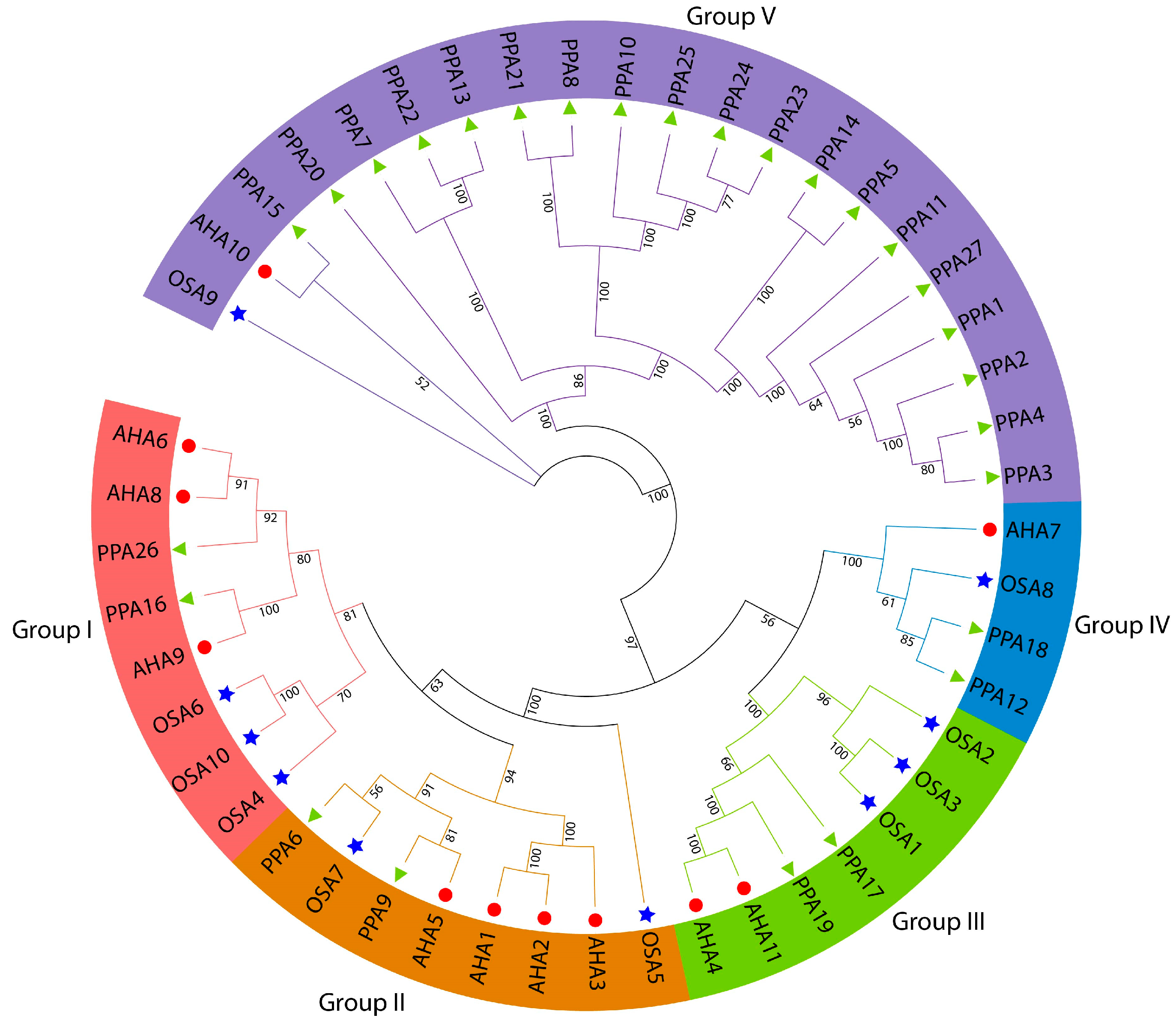Agronomy 14 00908 g002 Agronomy 14 00908 g002
