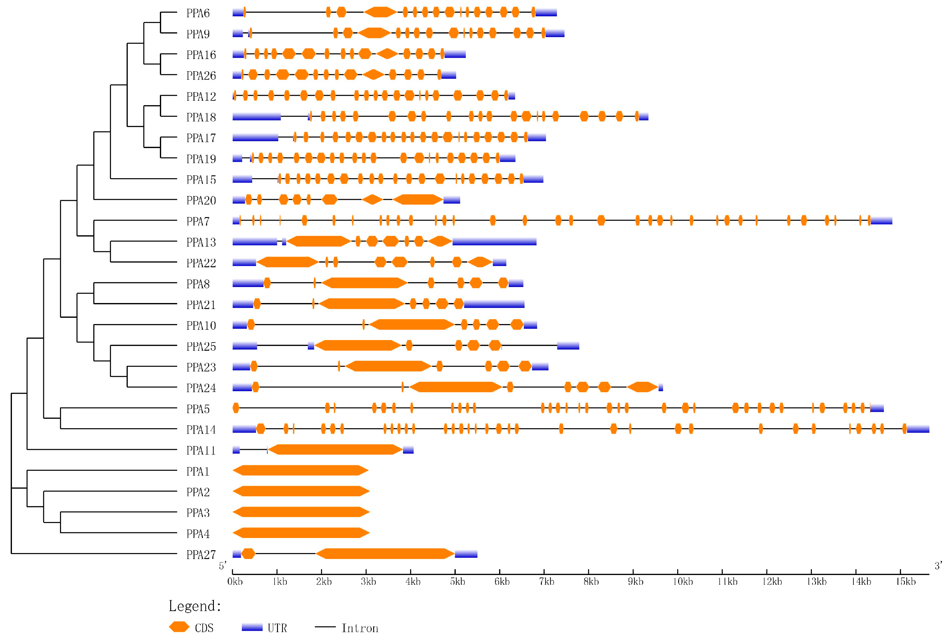 Agronomy 14 00908 g003 Agronomy 14 00908 g003
