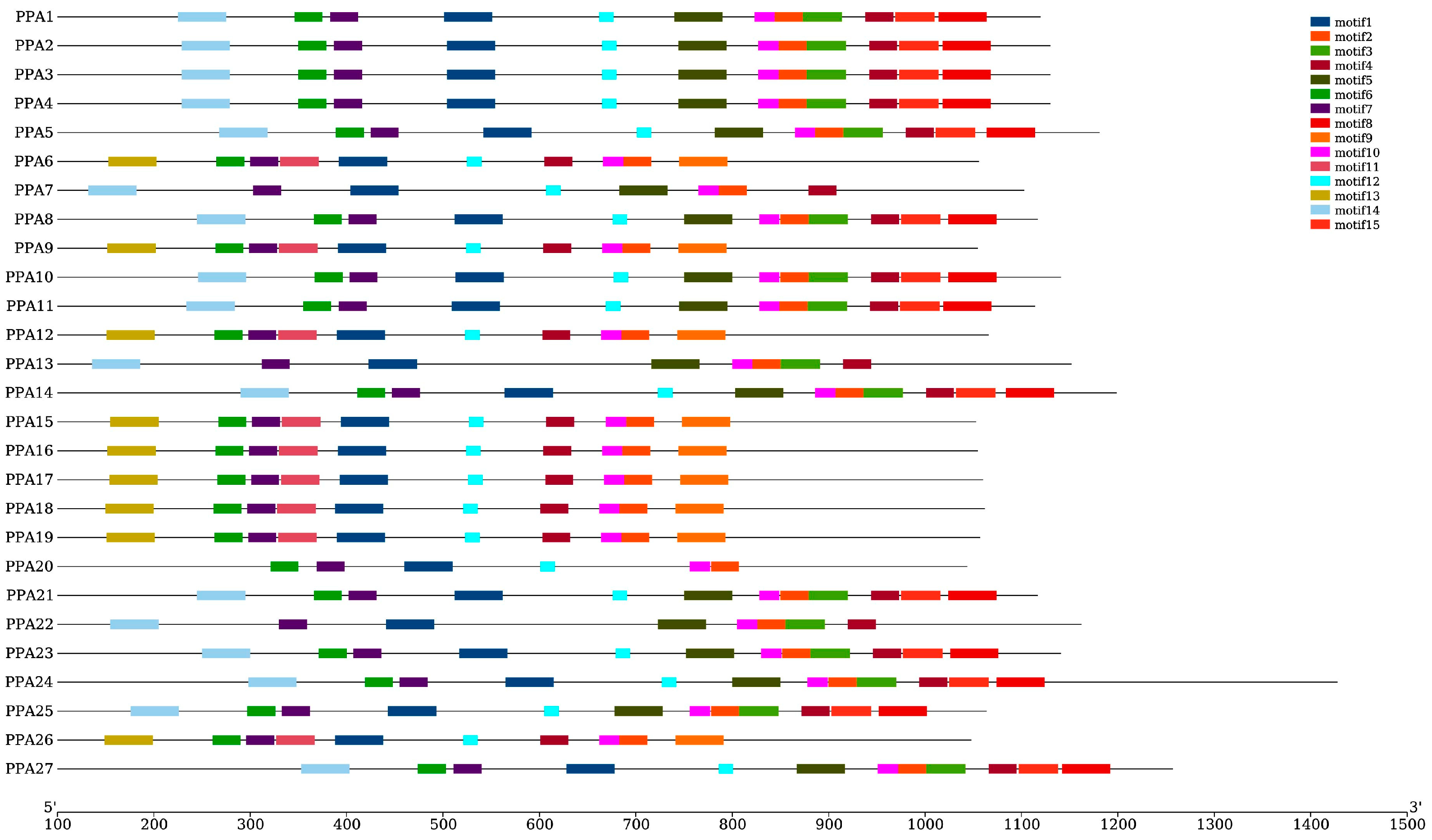 Agronomy 14 00908 g004 Agronomy 14 00908 g004