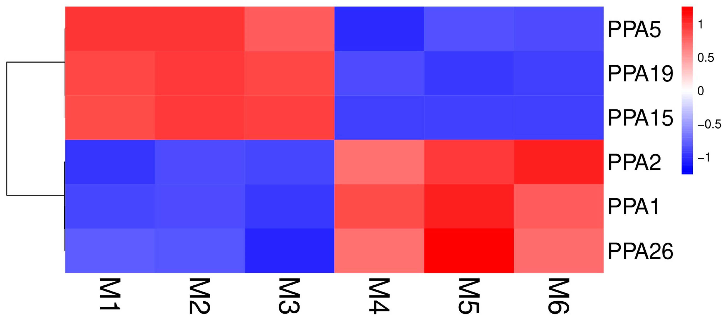 Agronomy 14 00908 g005 Agronomy 14 00908 g005
