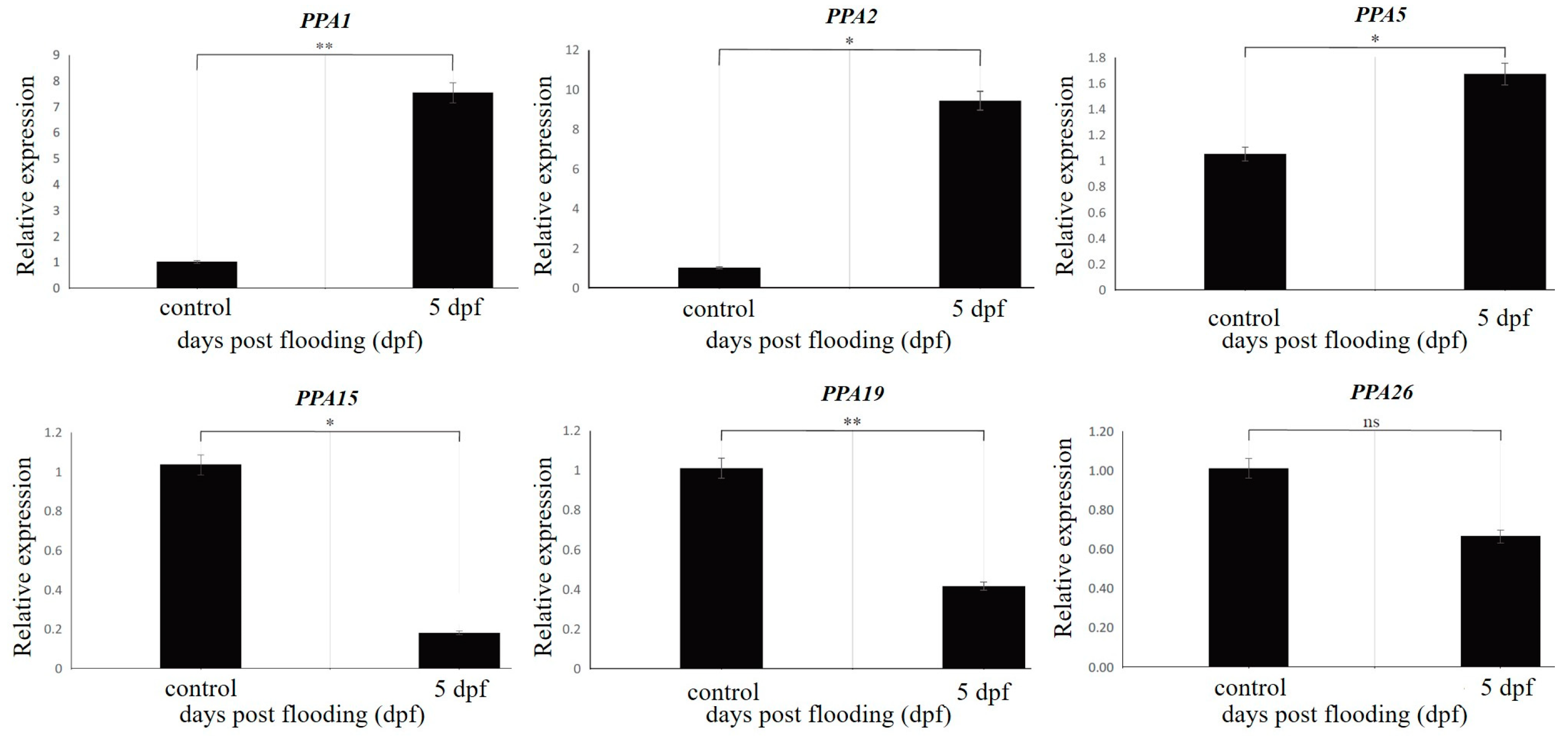 Agronomy 14 00908 g006 Agronomy 14 00908 g006
