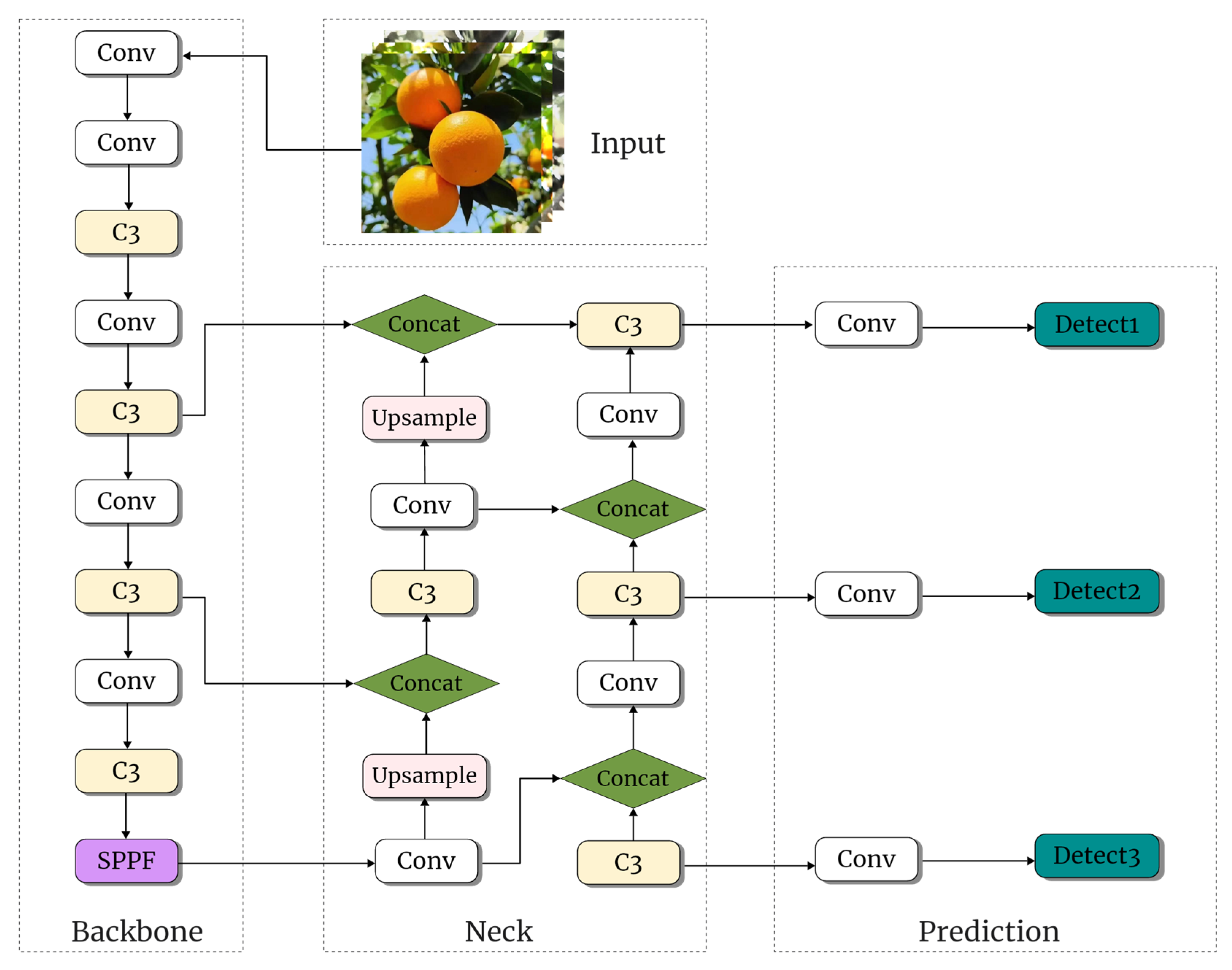 Agronomy 14 00910 g003