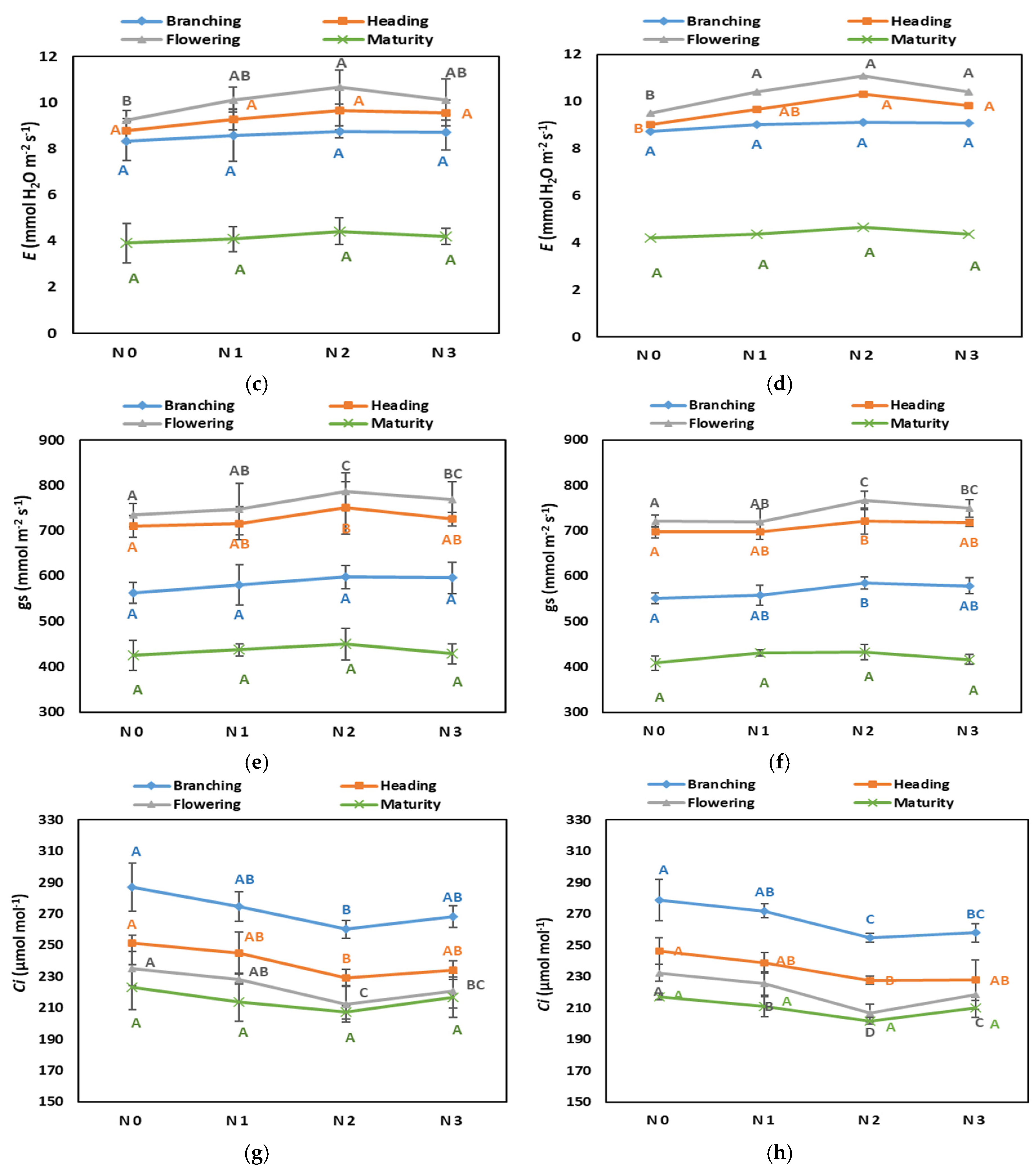 Agronomy 14 00914 g004b