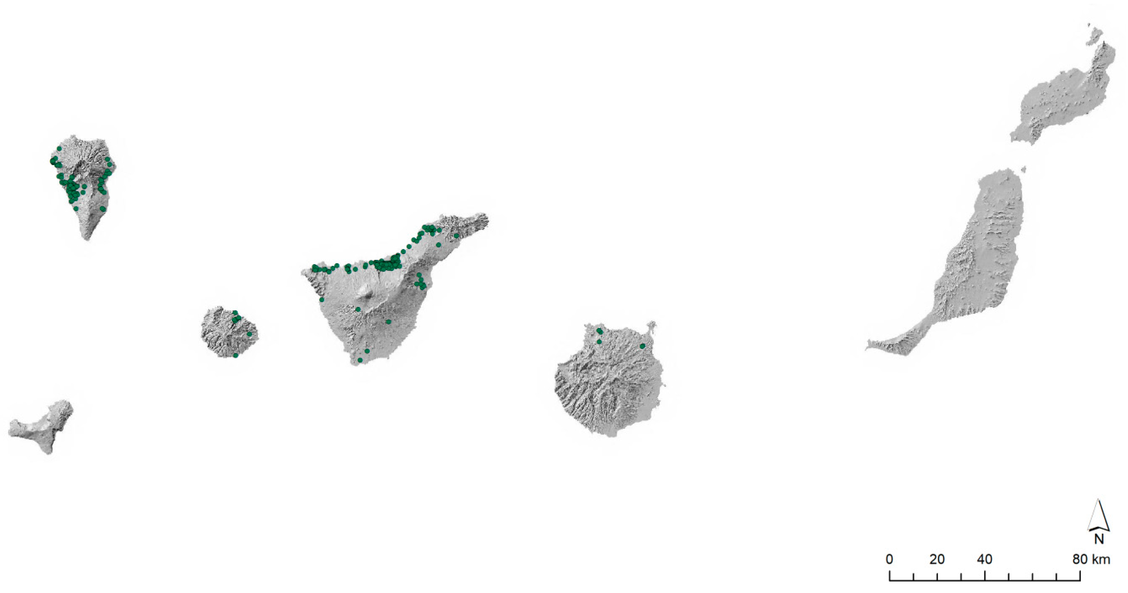 Agronomy 14 00920 g001