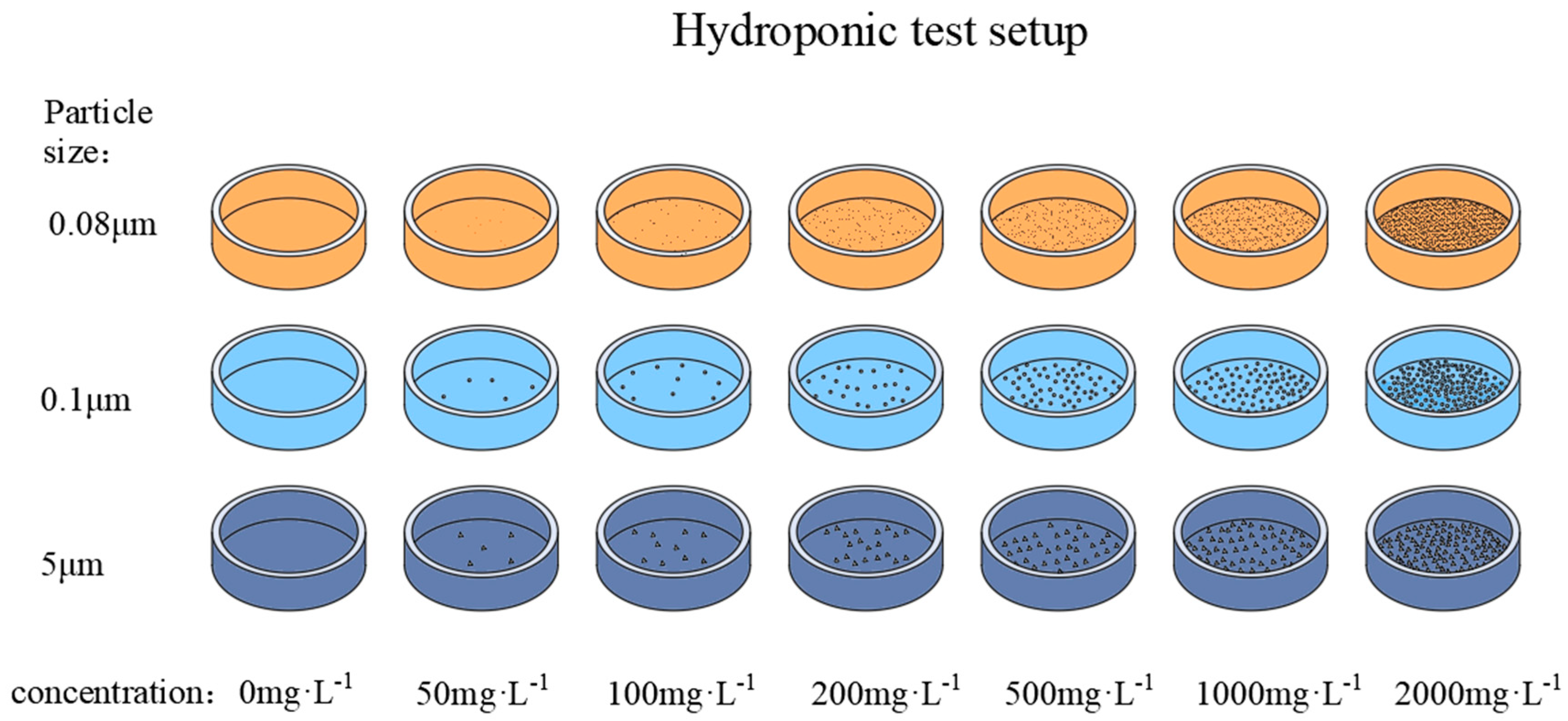 Agronomy 14 00923 g001