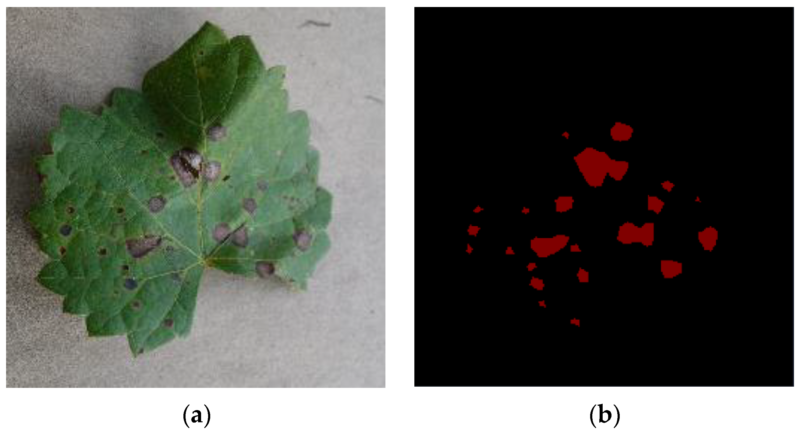 Agronomy 14 00925 g001