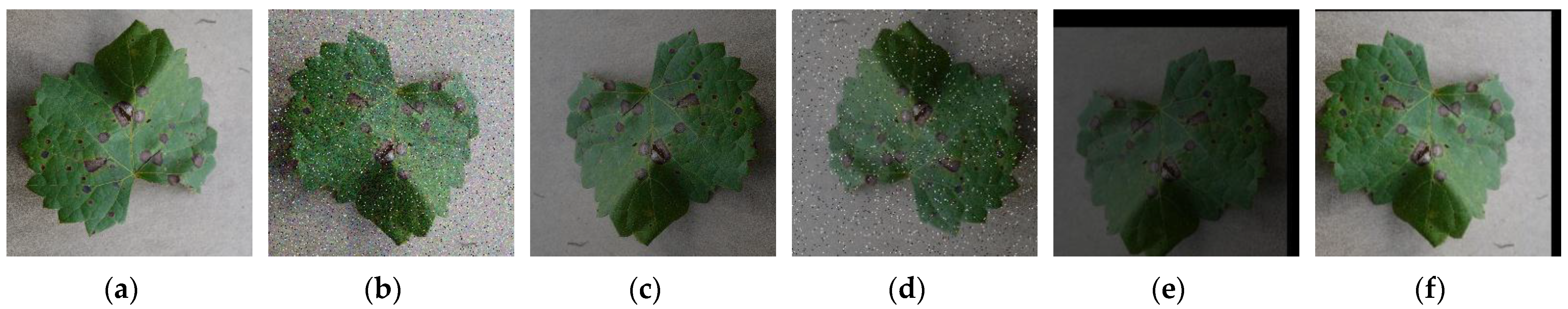 Agronomy 14 00925 g002