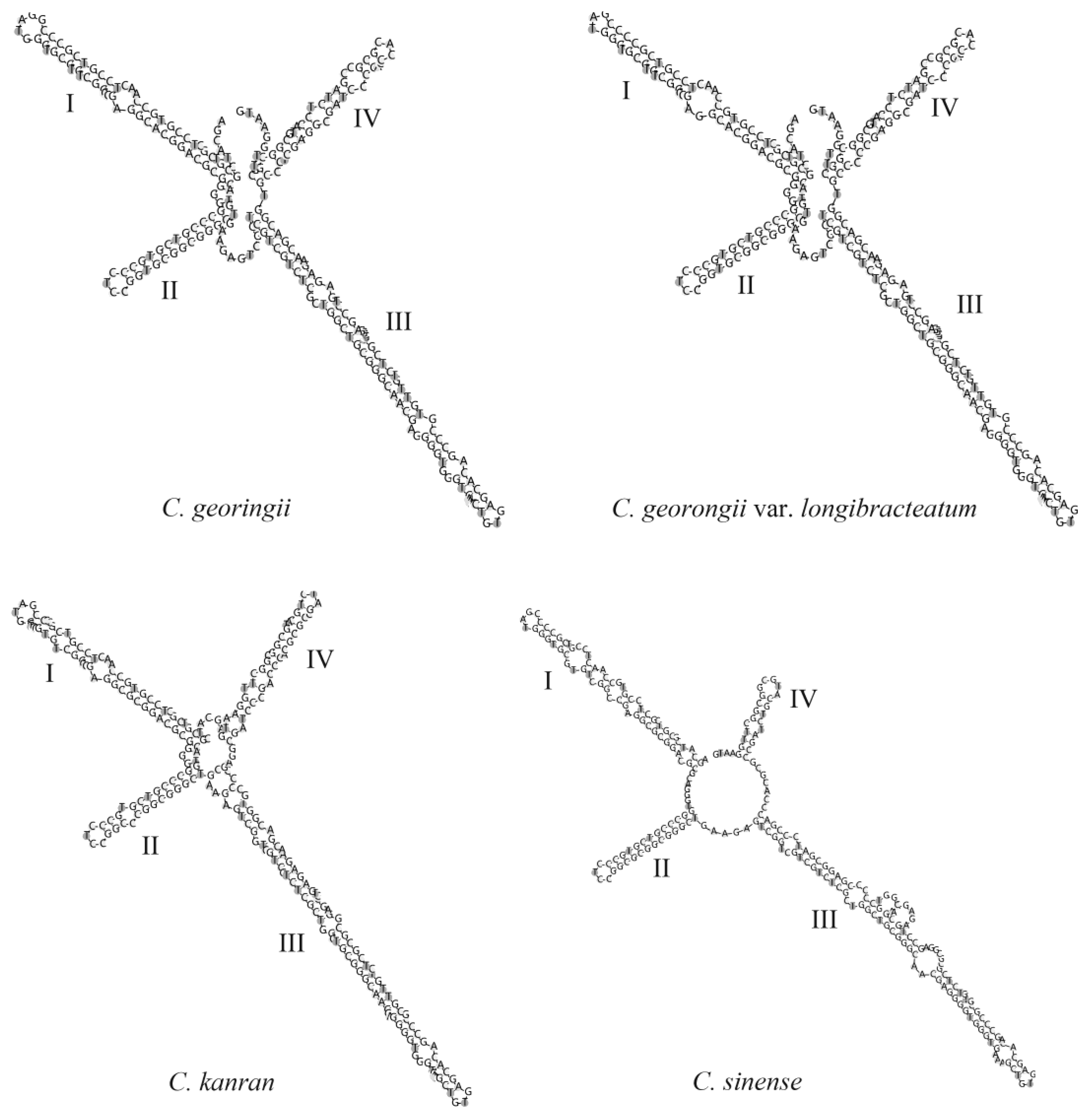 Agronomy 14 00933 g006