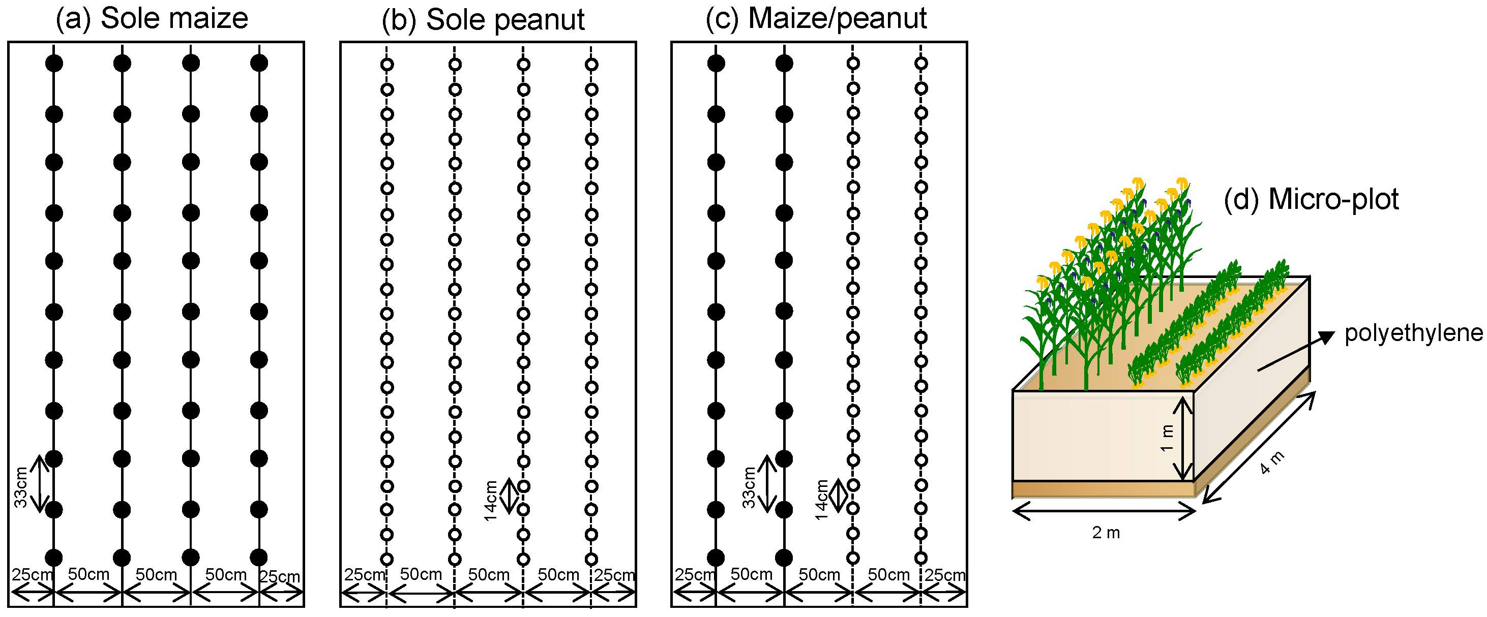 Agronomy 14 00951 g002