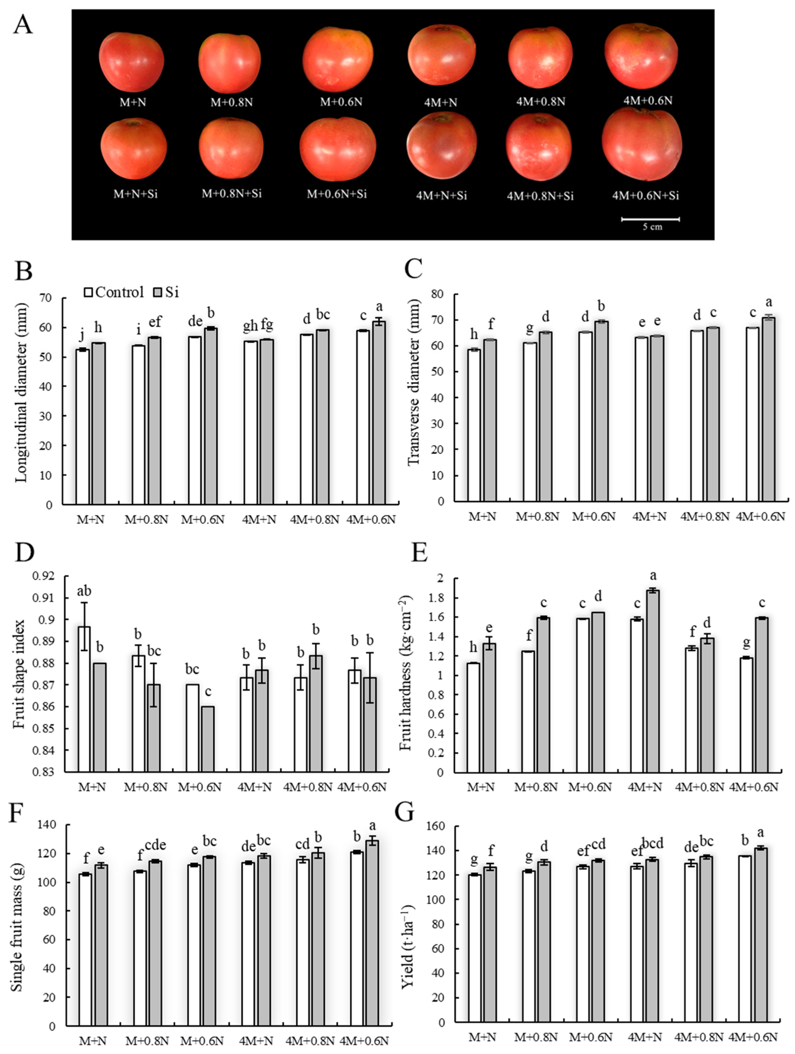 Agronomy 14 00966 g003