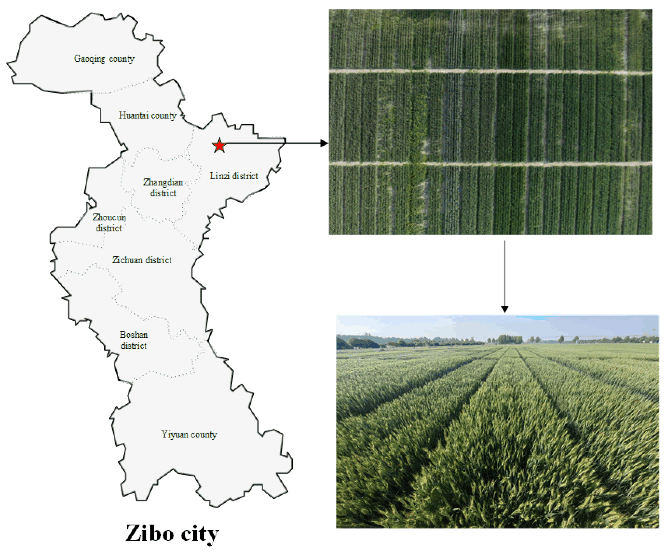 Agronomy 14 00991 g001