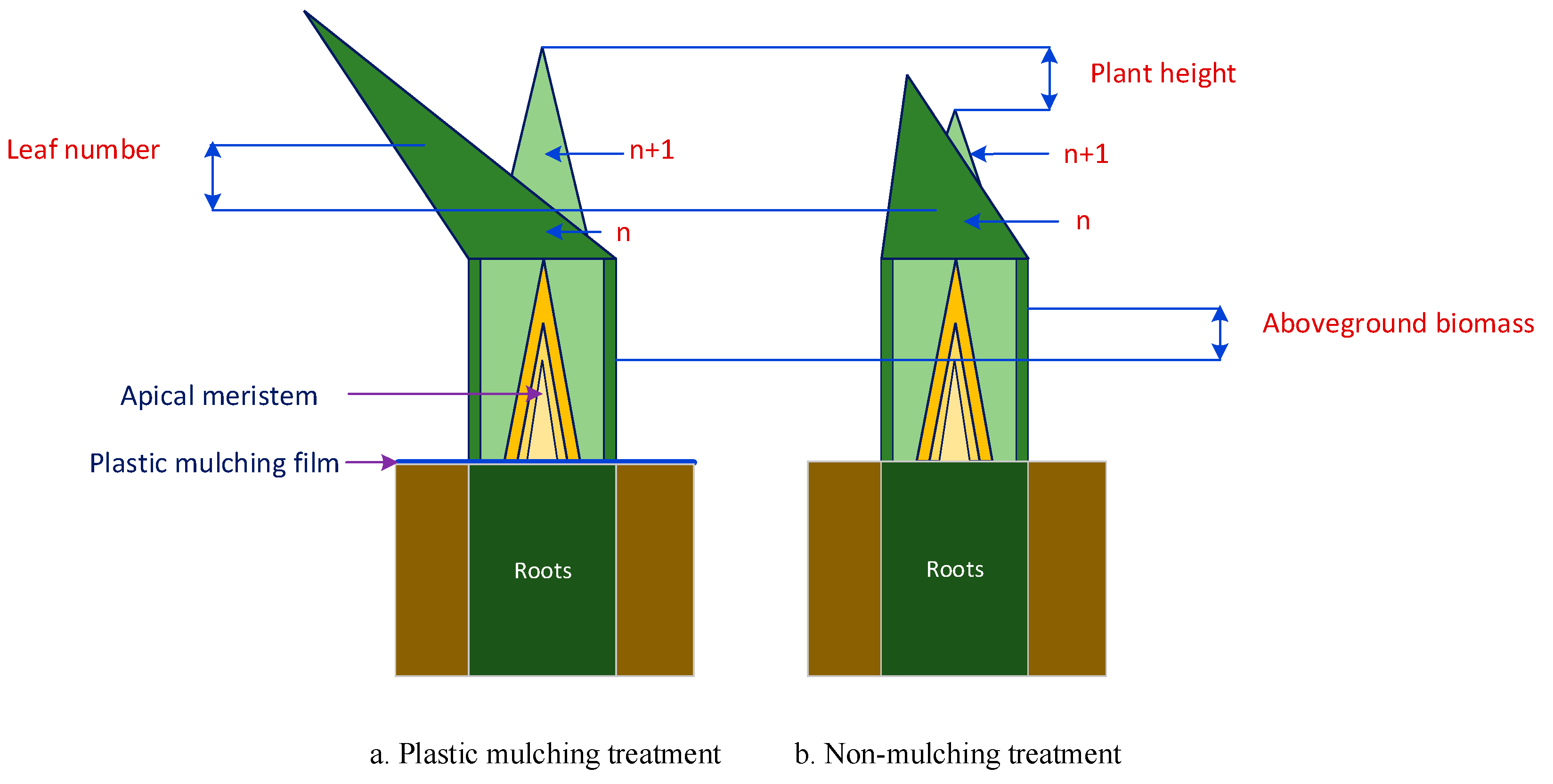 Agronomy 14 01005 g003