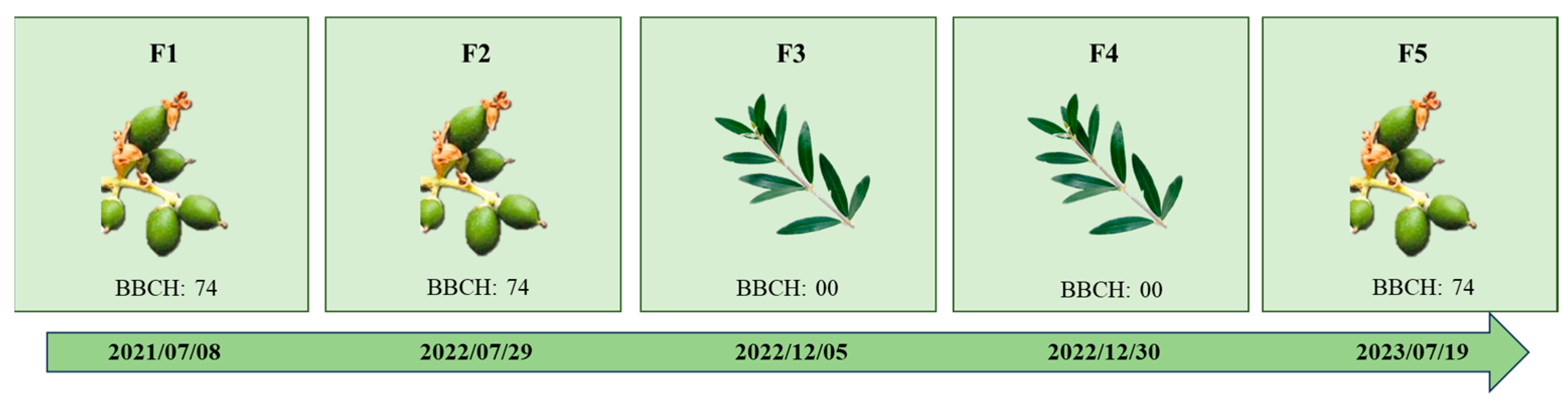 Agronomy 14 01023 g002