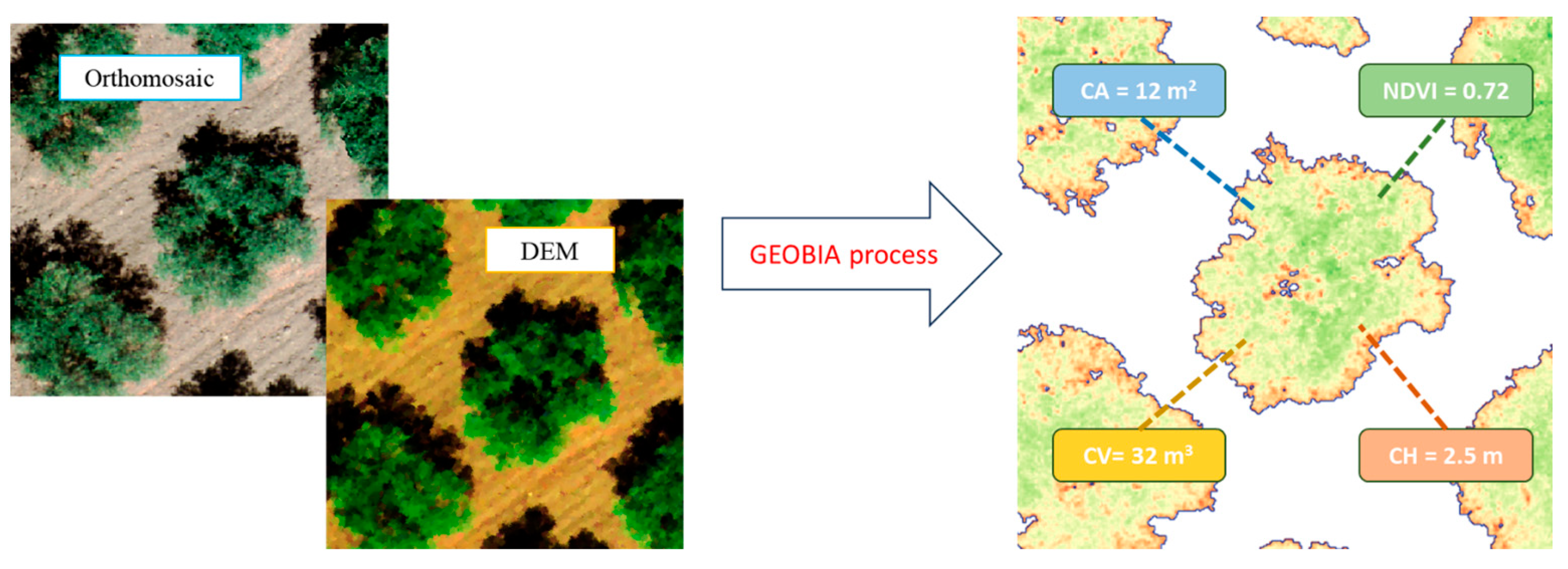 Agronomy 14 01023 g005