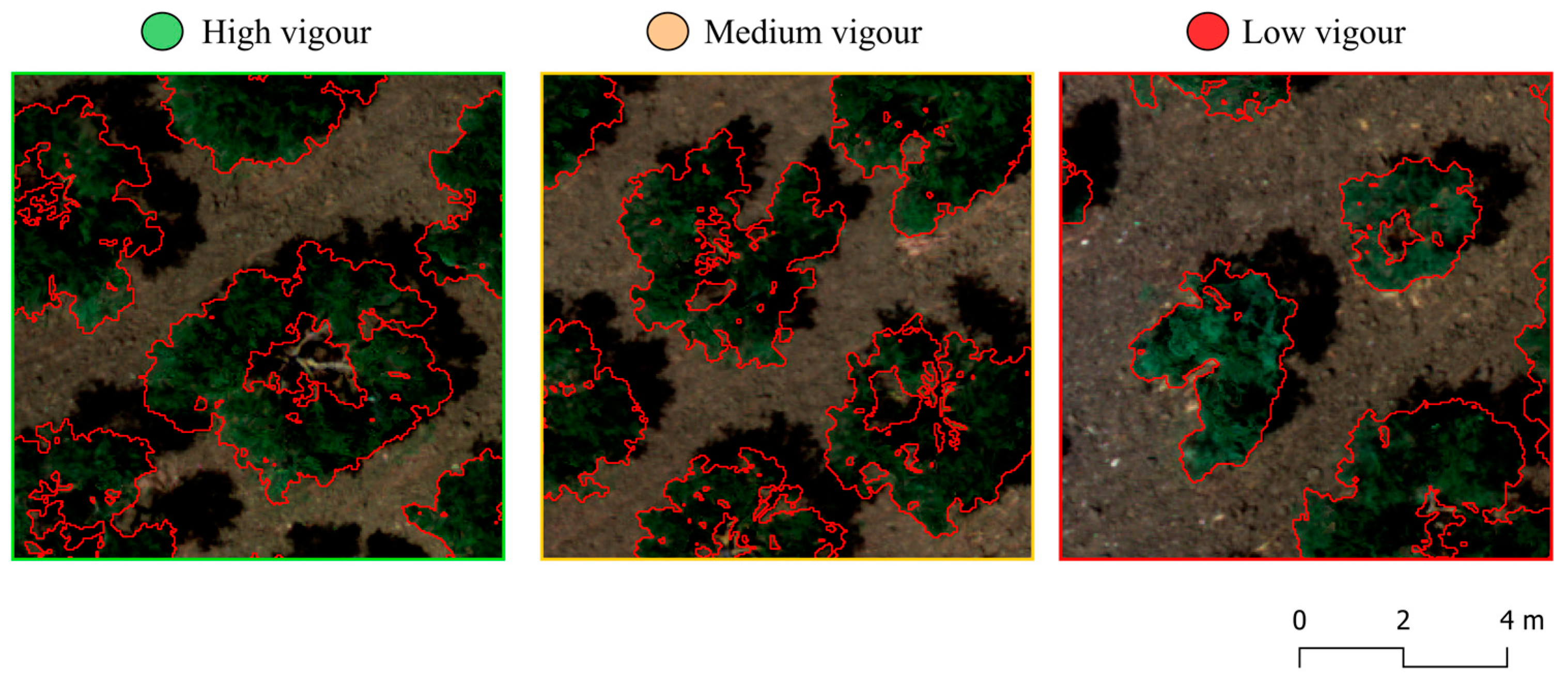 Agronomy 14 01023 g006