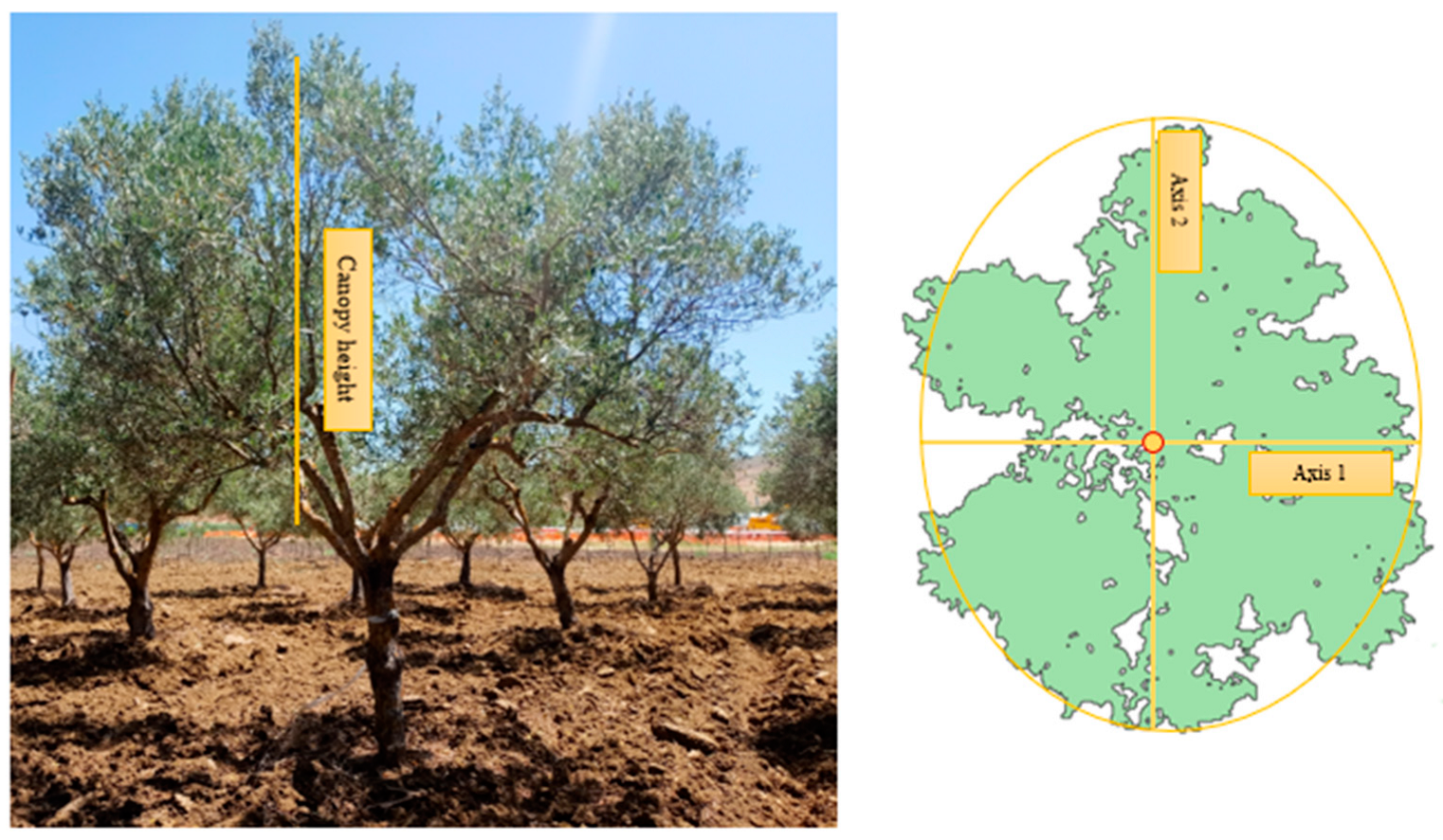 Agronomy 14 01023 g007