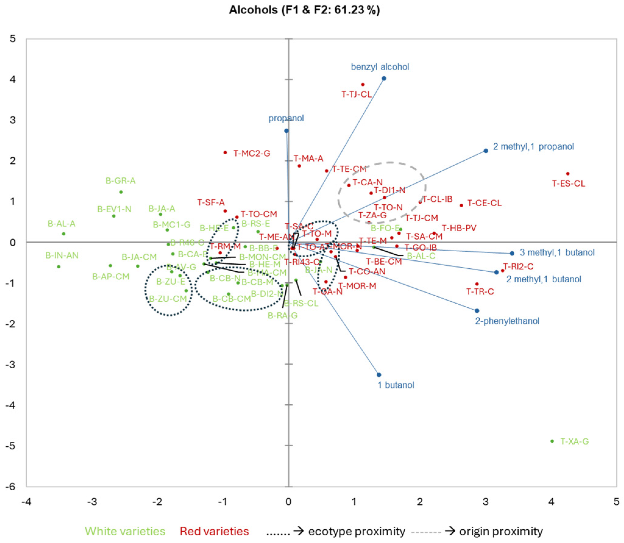 Agronomy 14 01033 g001