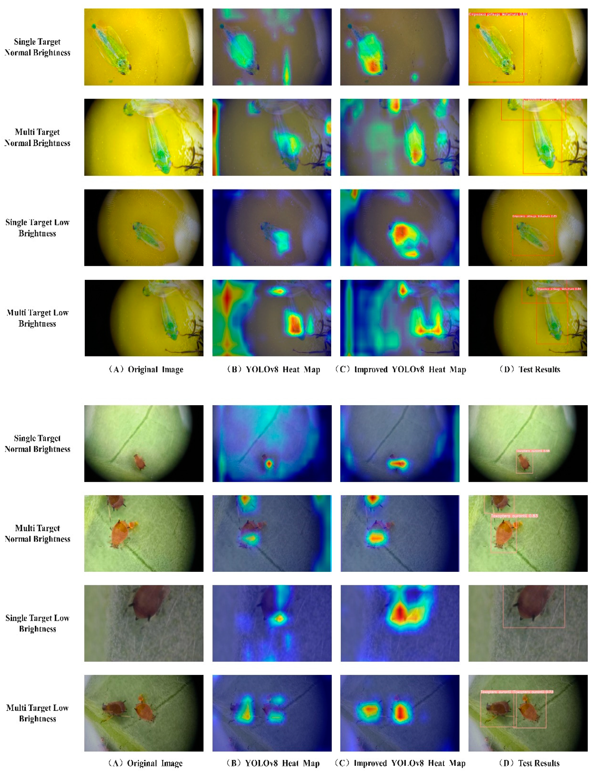 Agronomy 14 01034 g016a