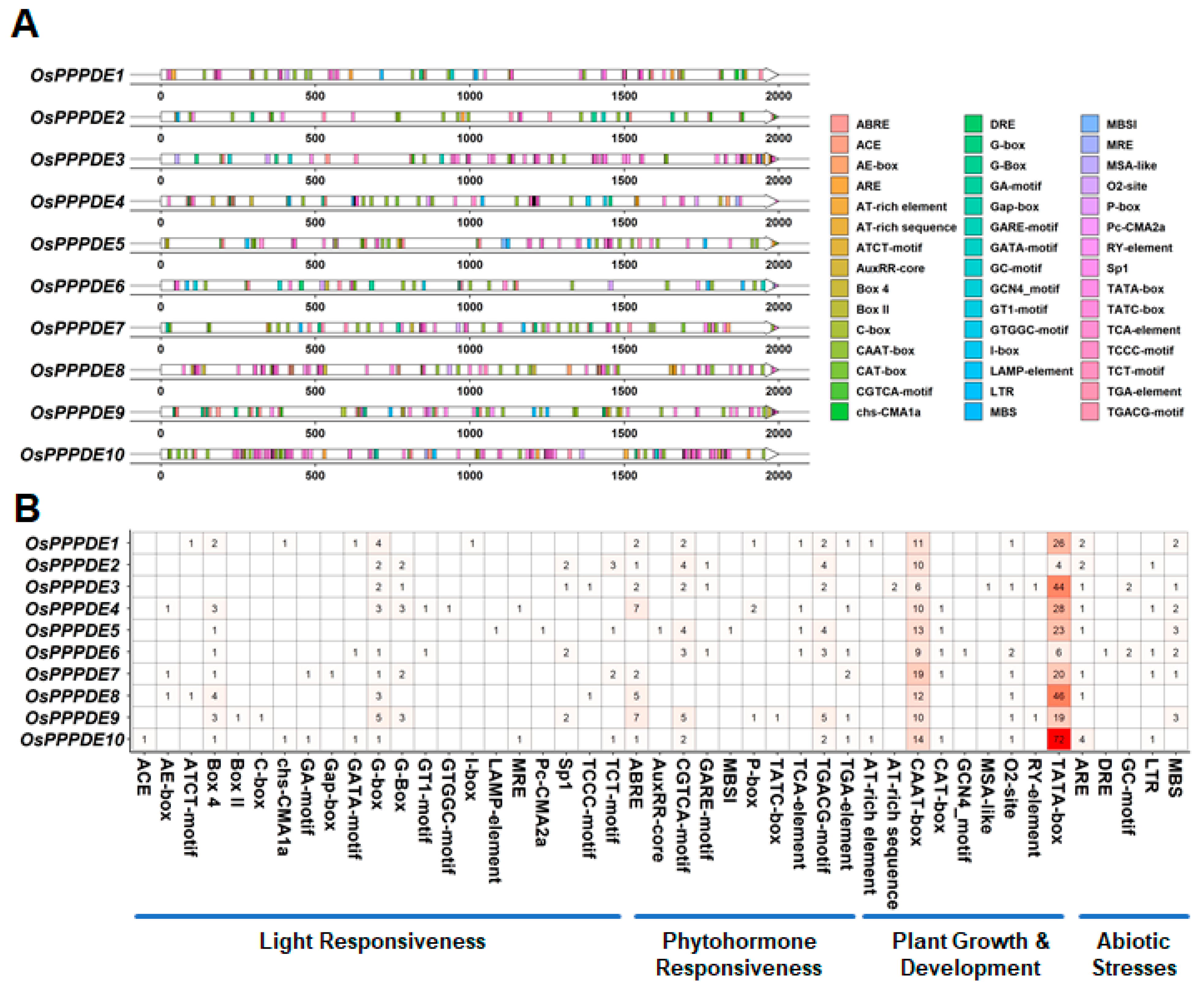 Agronomy 14 01035 g003