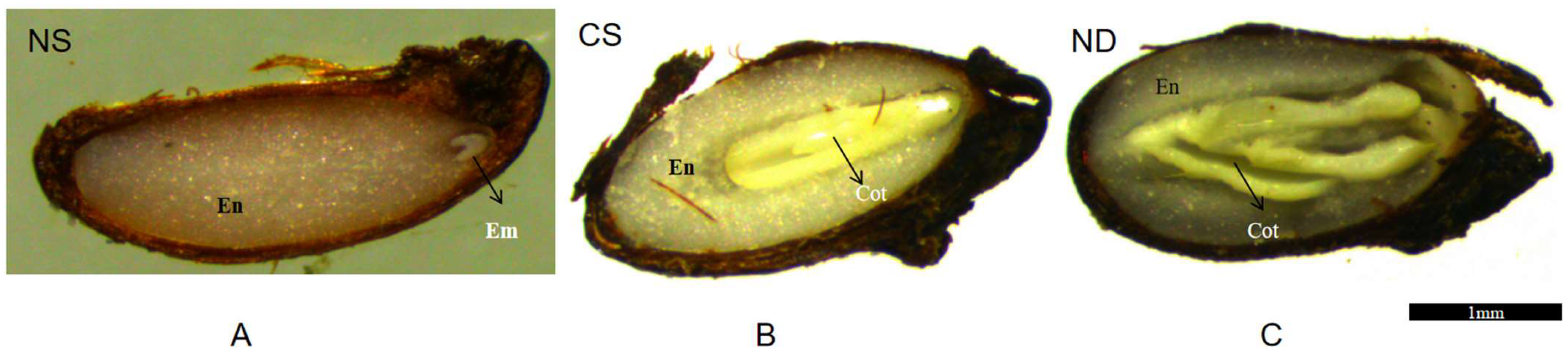 Agronomy 14 01037 g001
