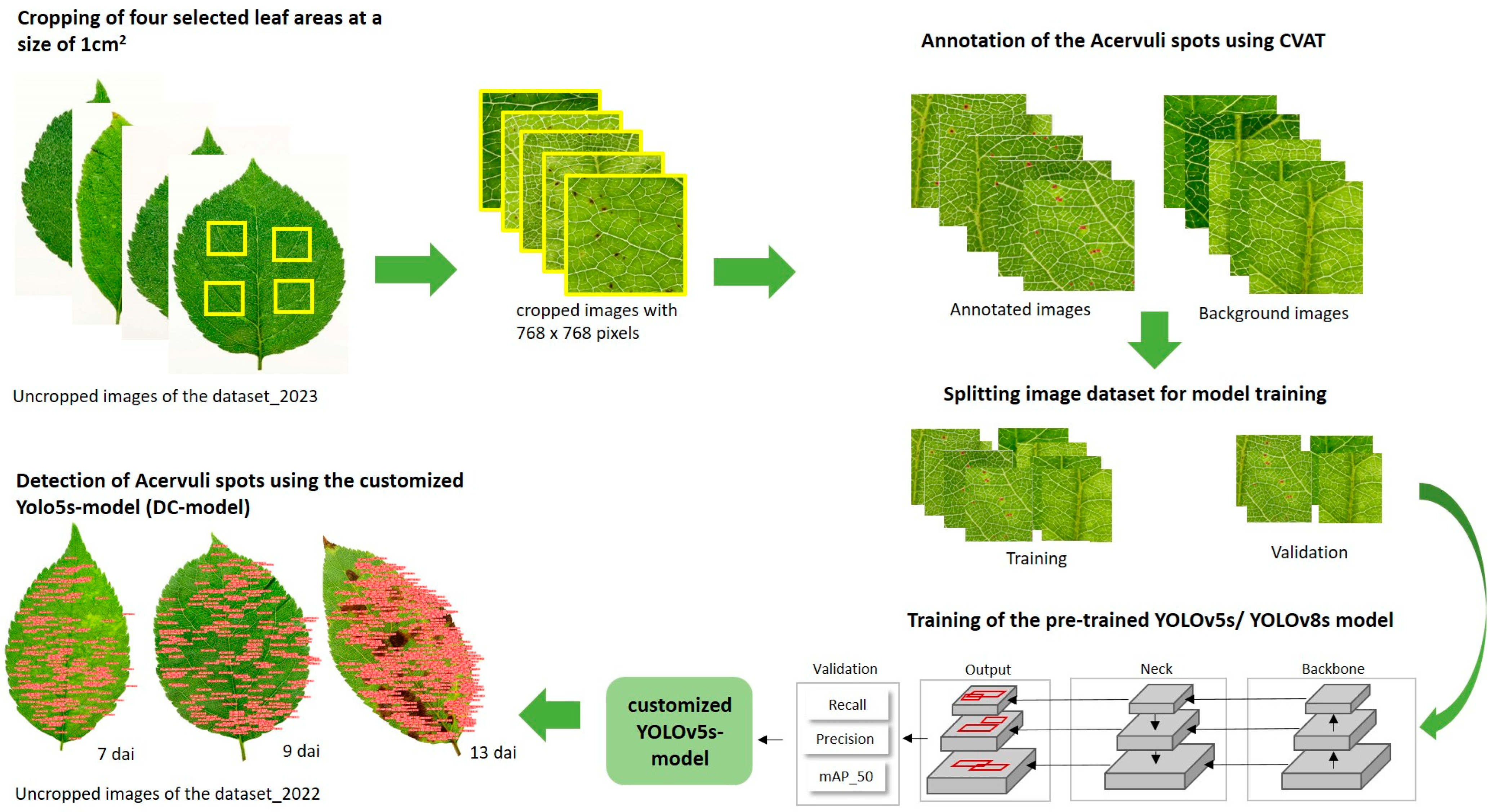 Agronomy 14 01042 g001