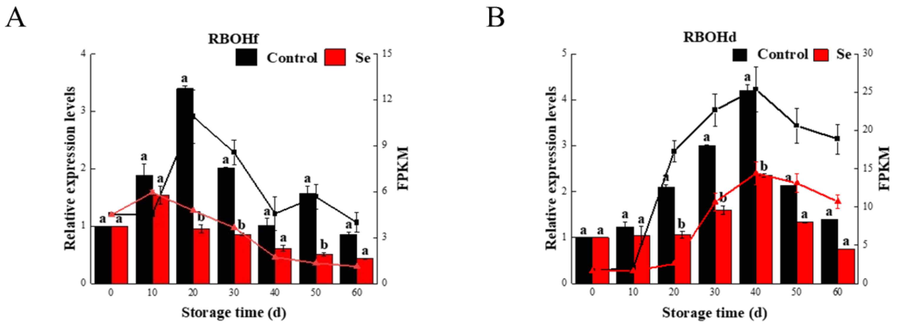 Agronomy 14 01047 g004