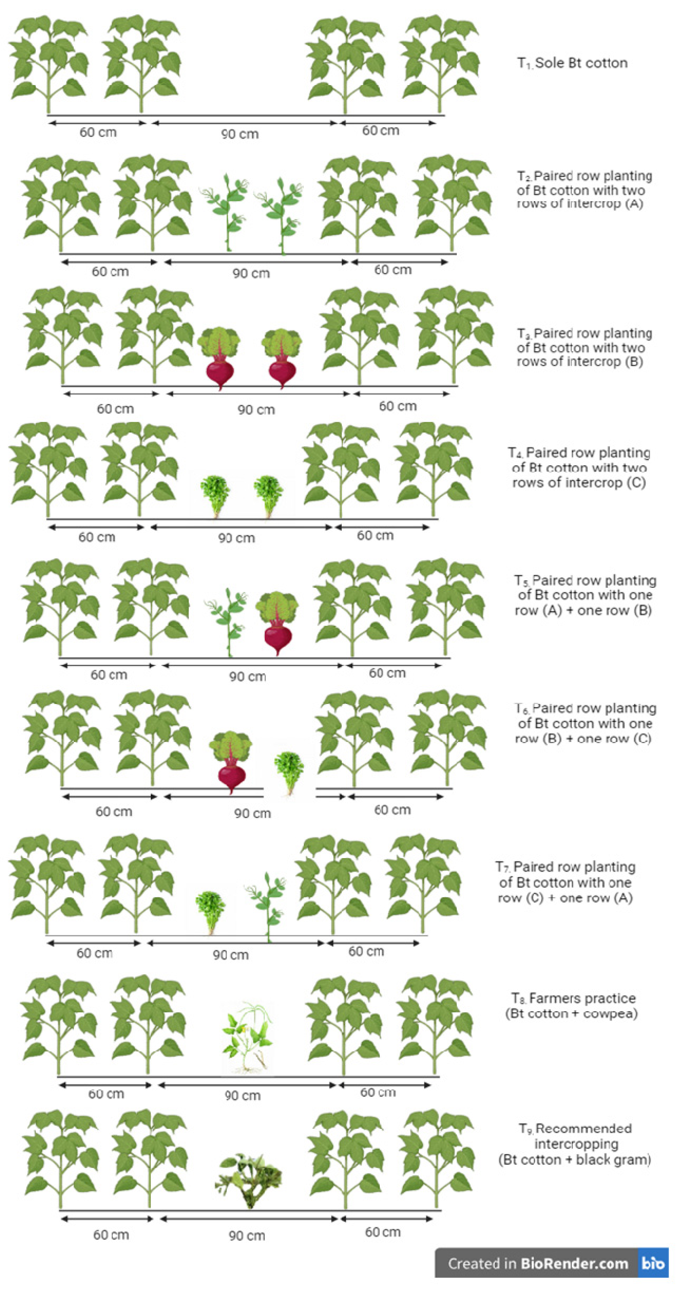 Agronomy 14 01049 g001
