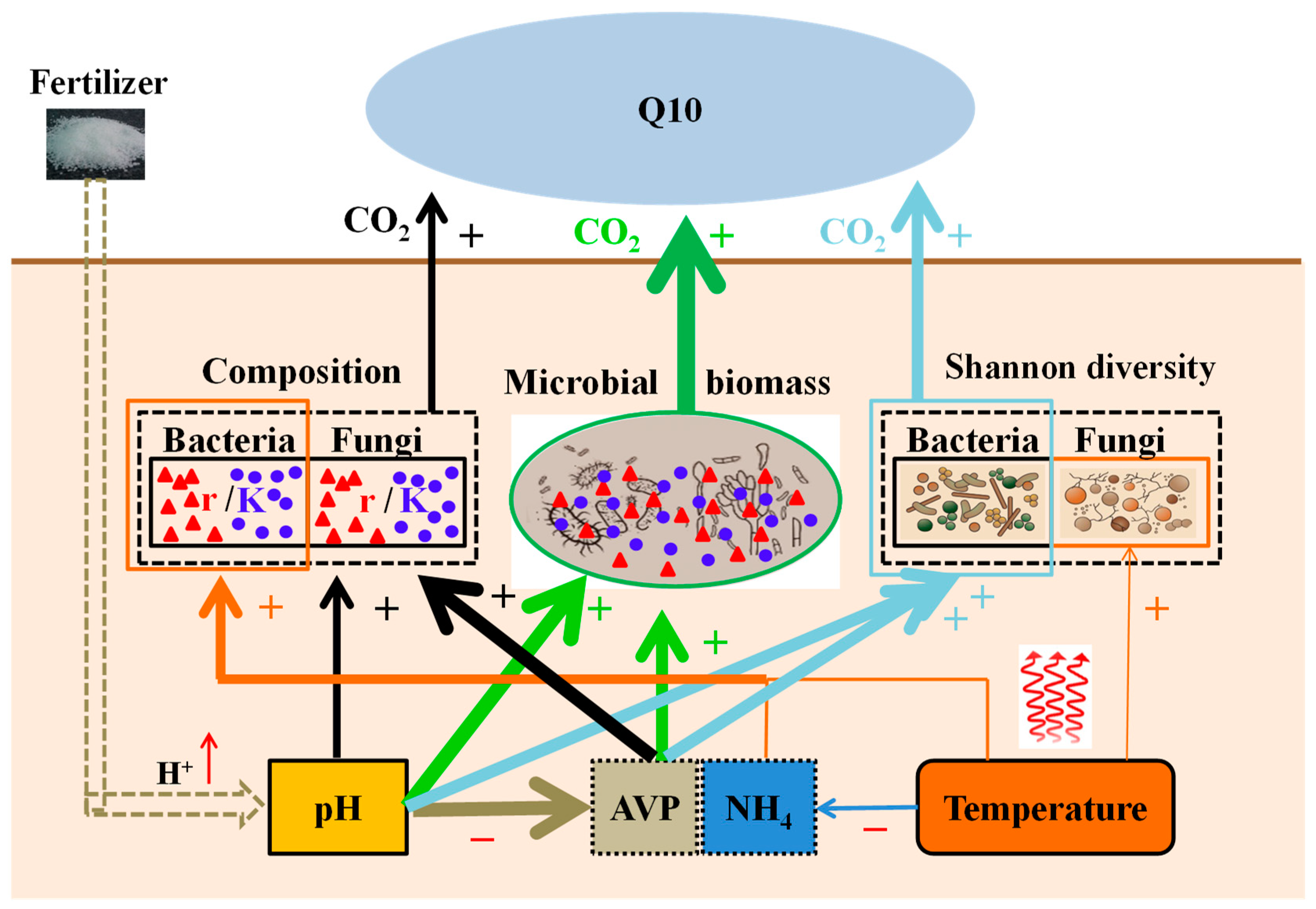 Agronomy 14 01056 g006