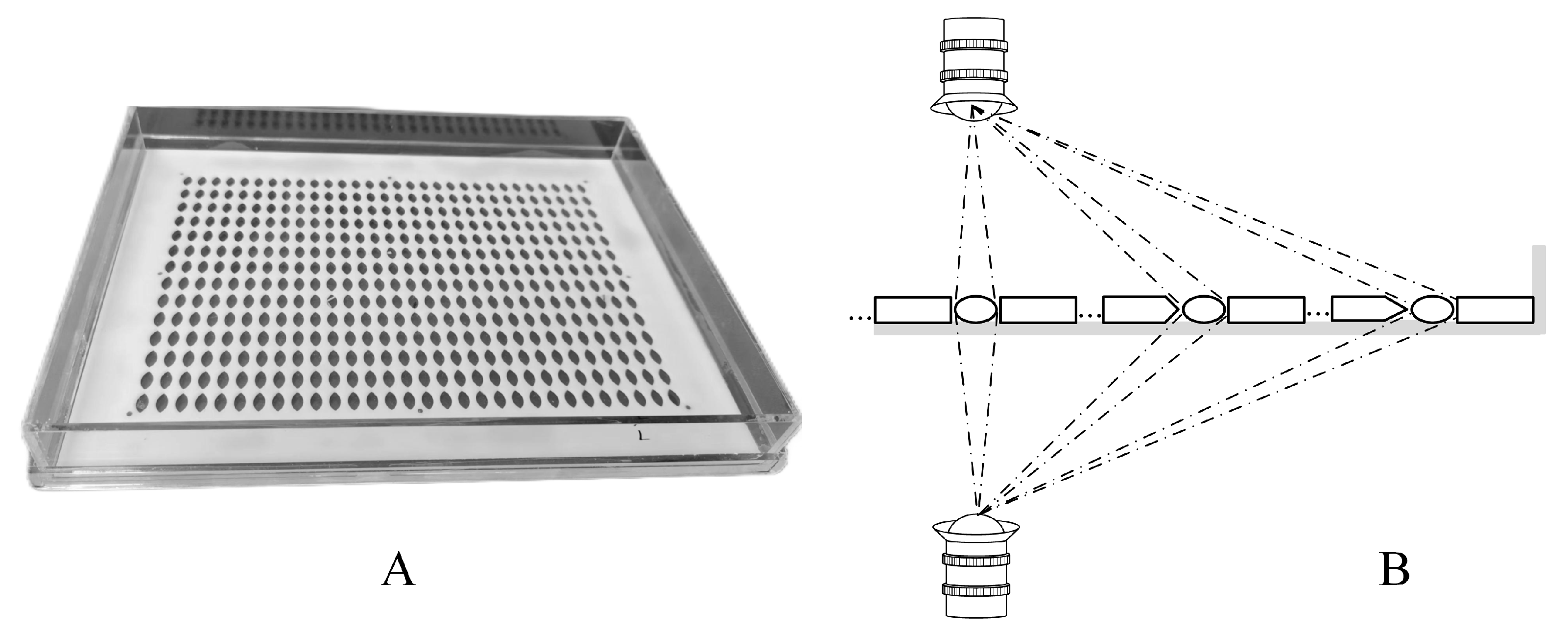 Agronomy 14 01057 g003