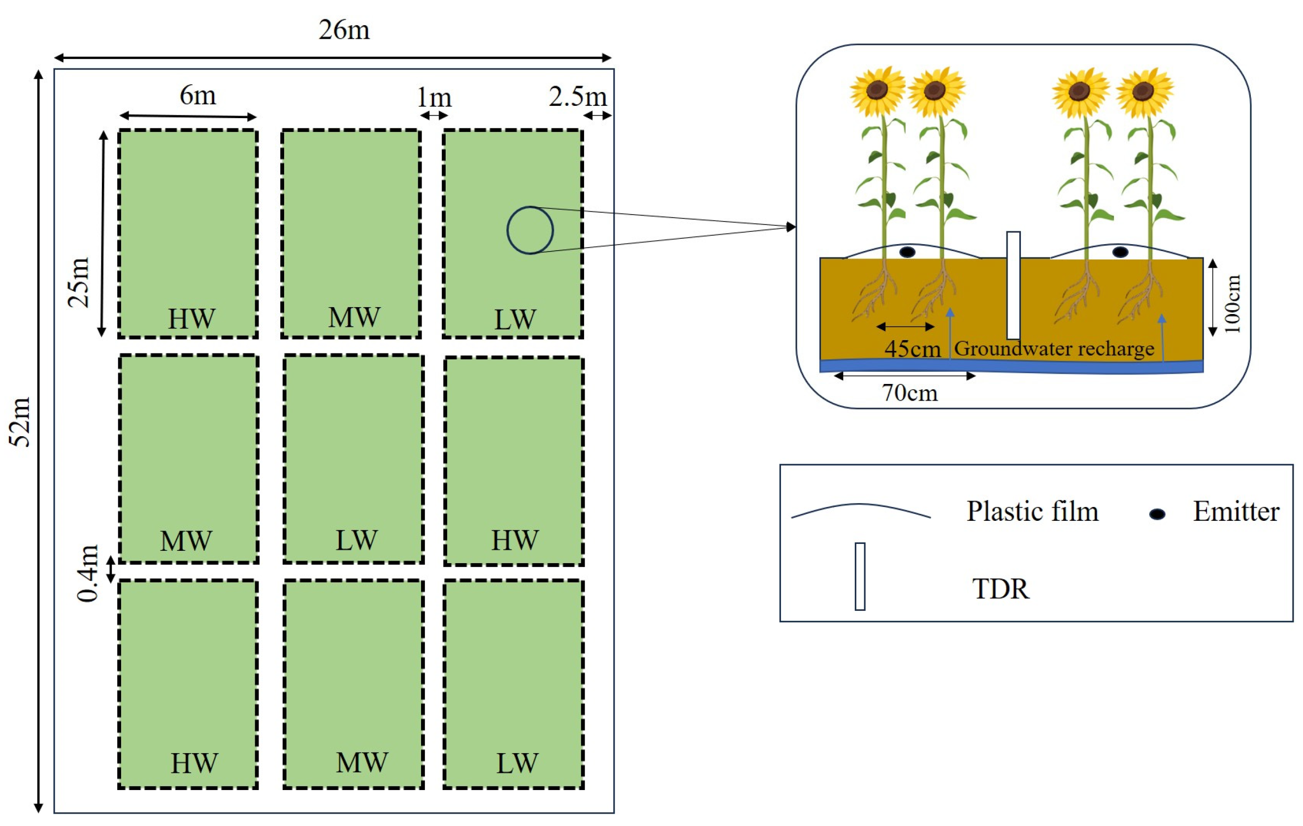 Agronomy 14 01058 g002