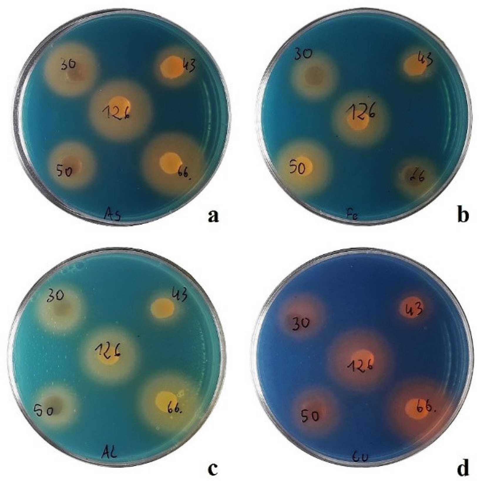 Agronomy 14 01062 g004