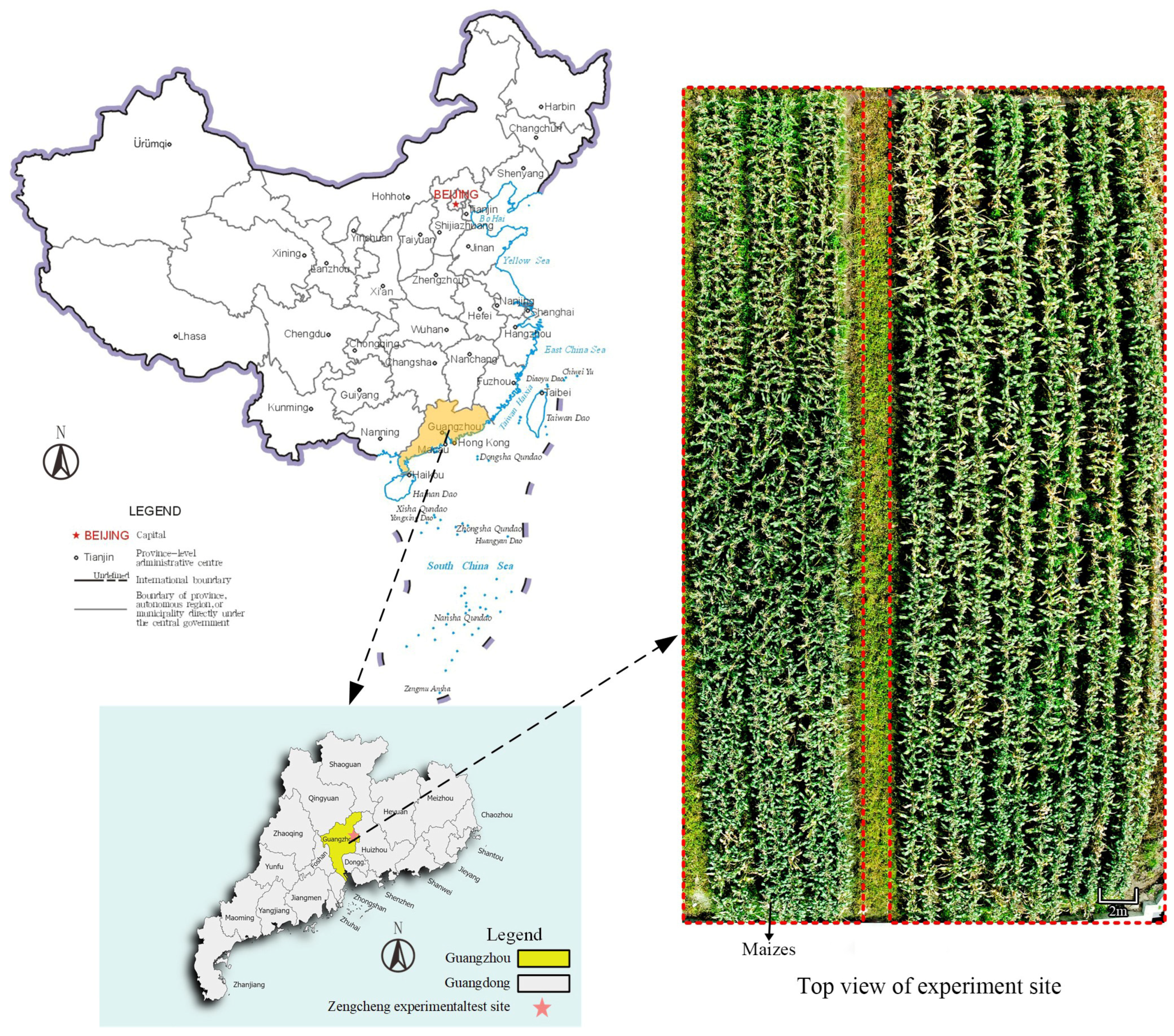 Agronomy 14 01069 g001