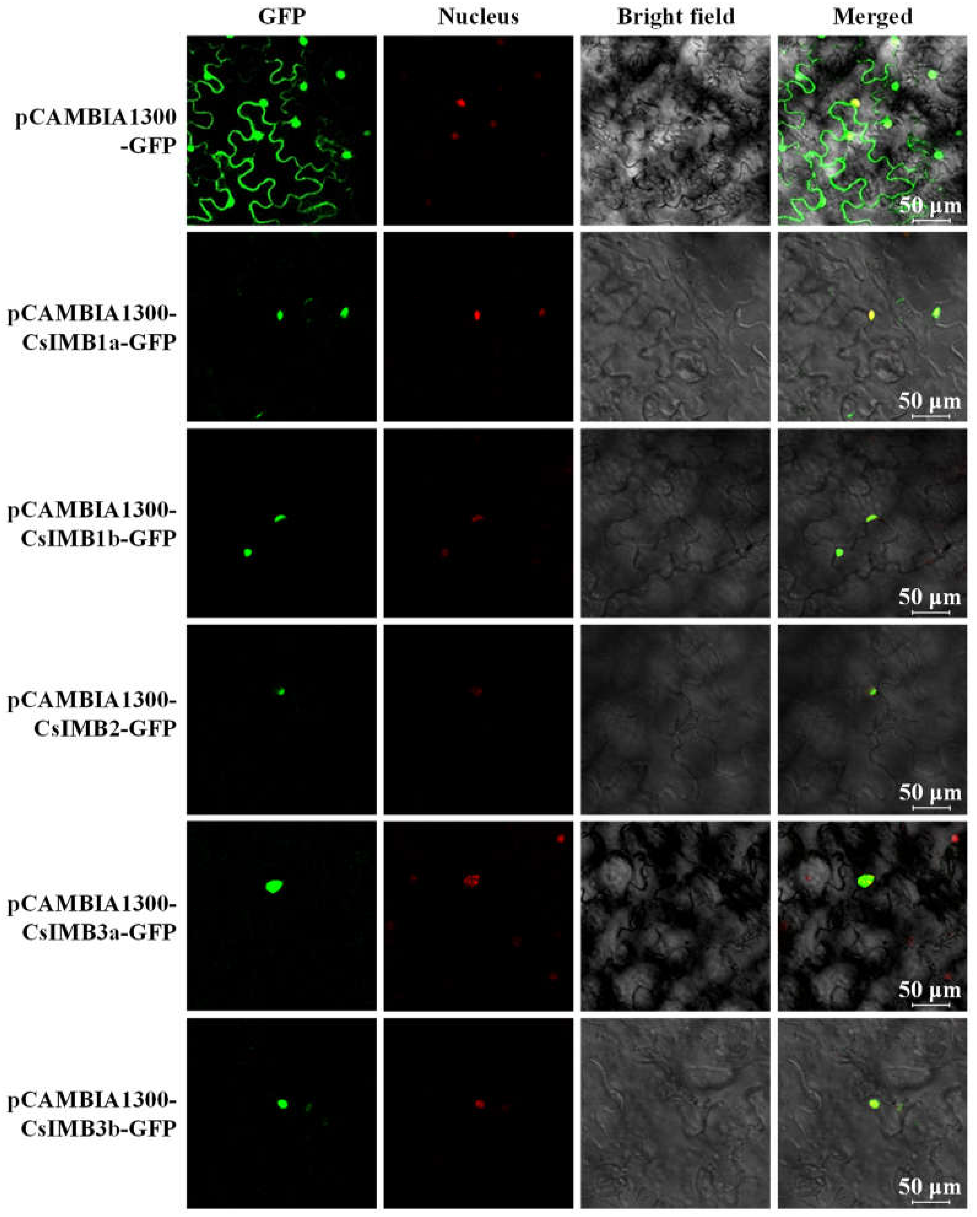 Agronomy 14 01073 g005