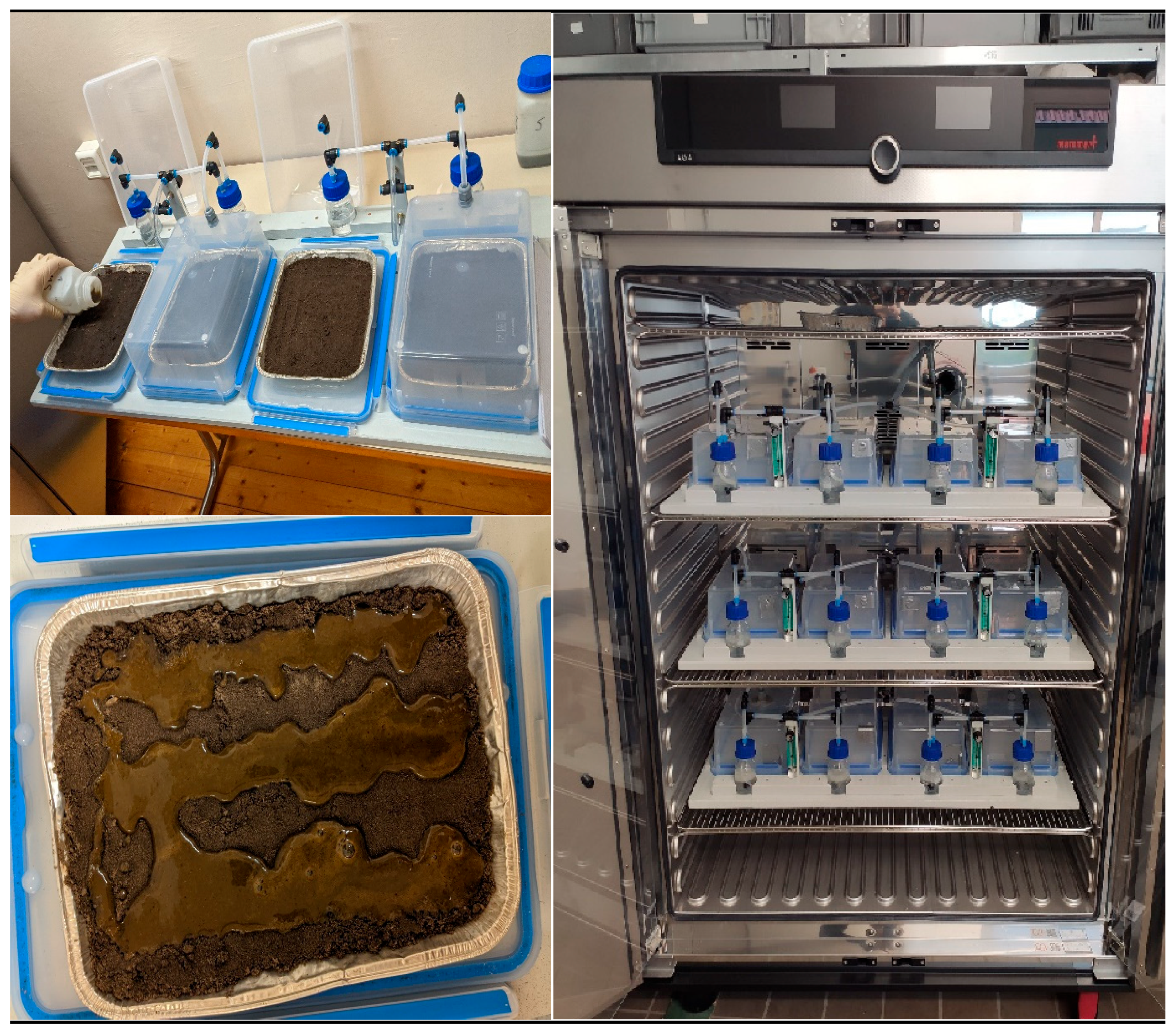 Agronomy 14 01078 g002