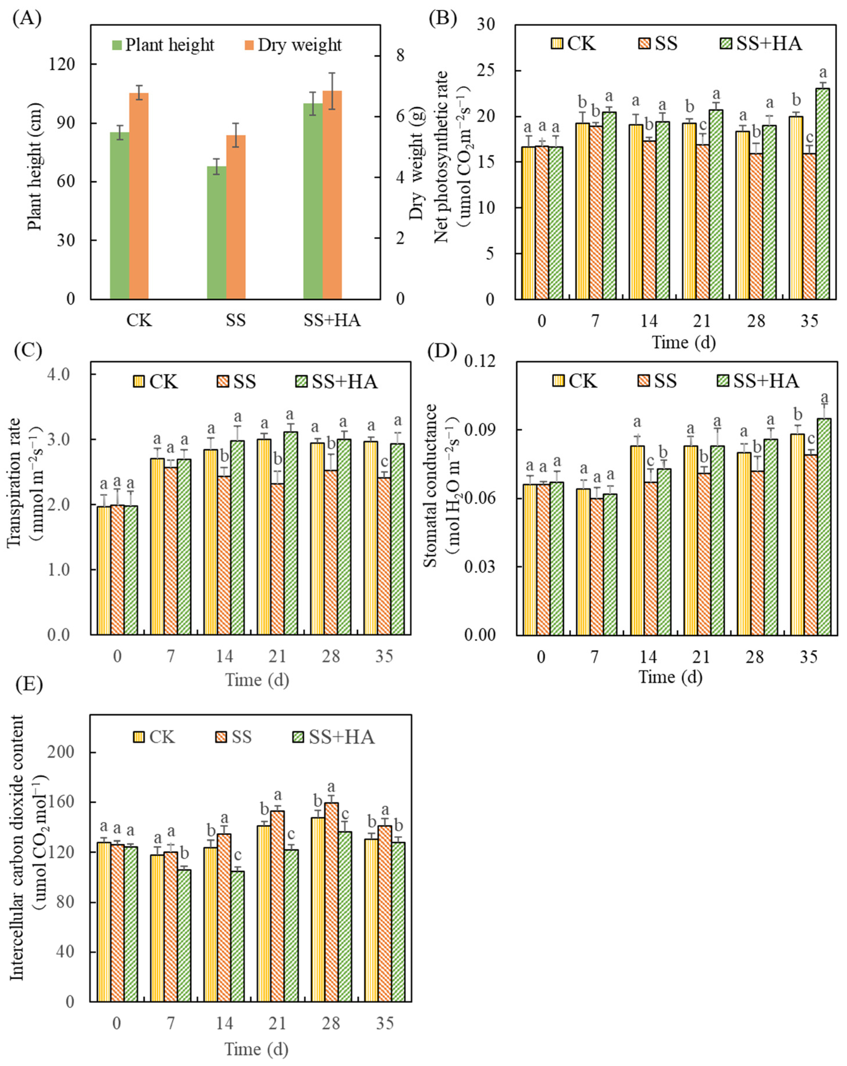 Agronomy 14 01079 g001