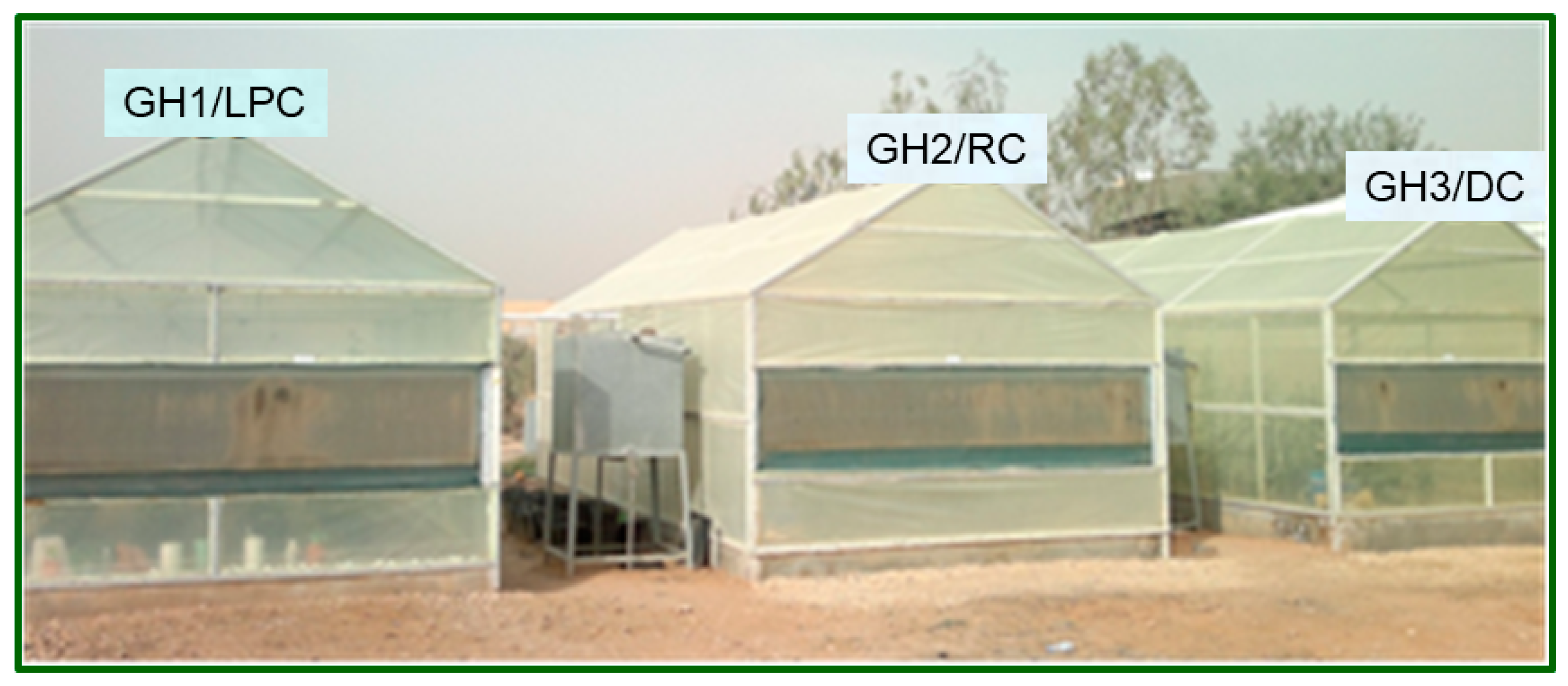 Agronomy 14 01082 g002