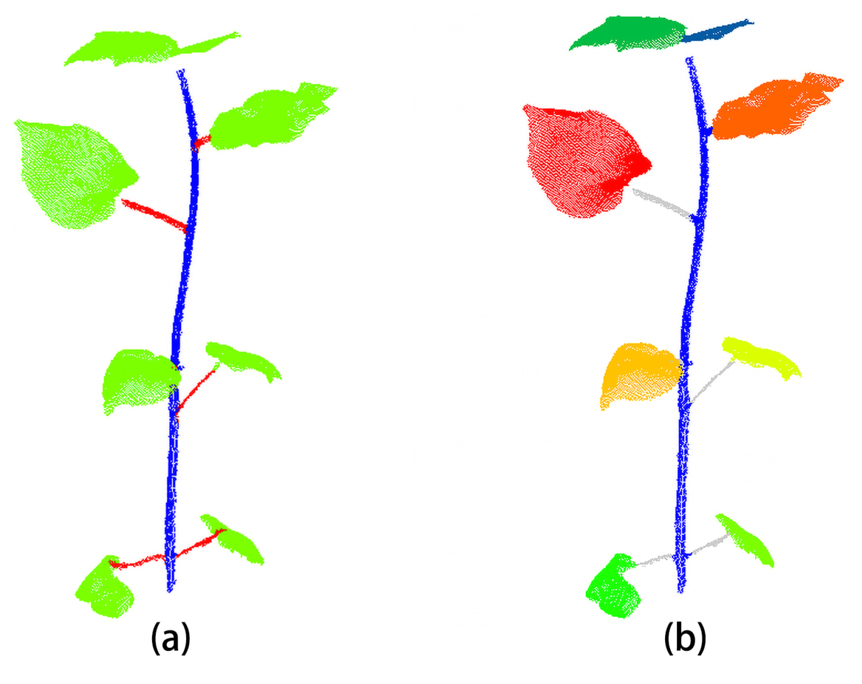 Agronomy 14 01083 g005