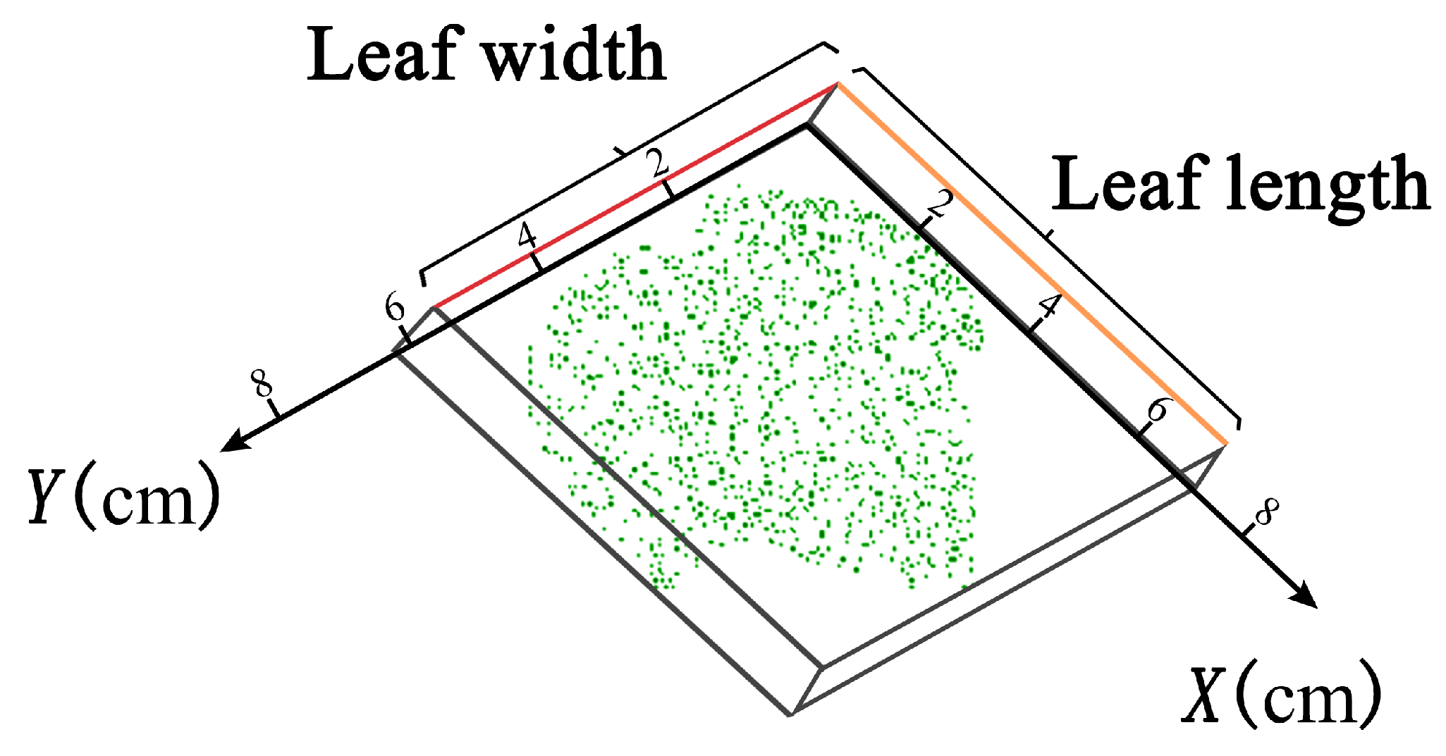 Agronomy 14 01083 g007